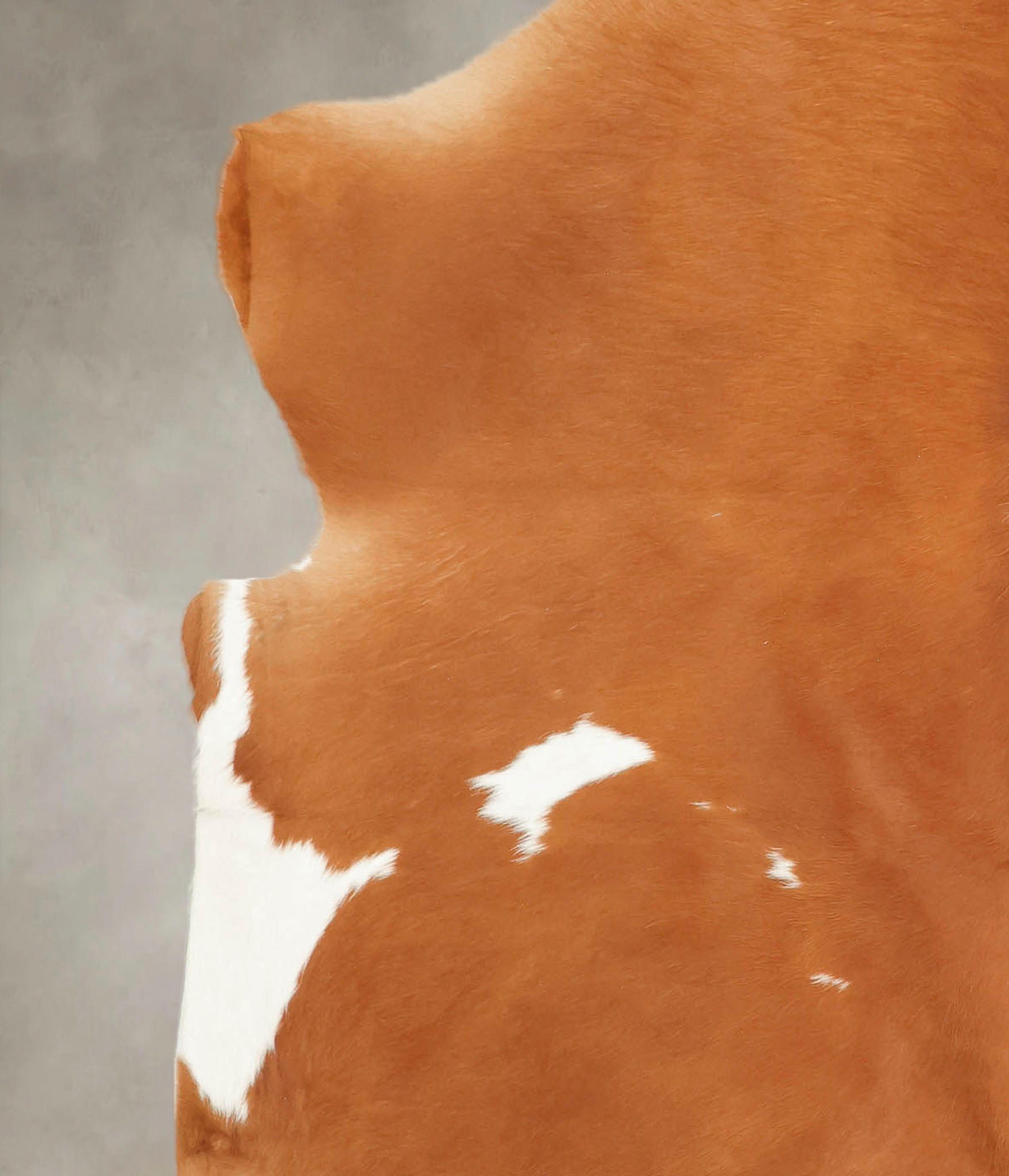 Brown and White Cowhide Rug #B5482