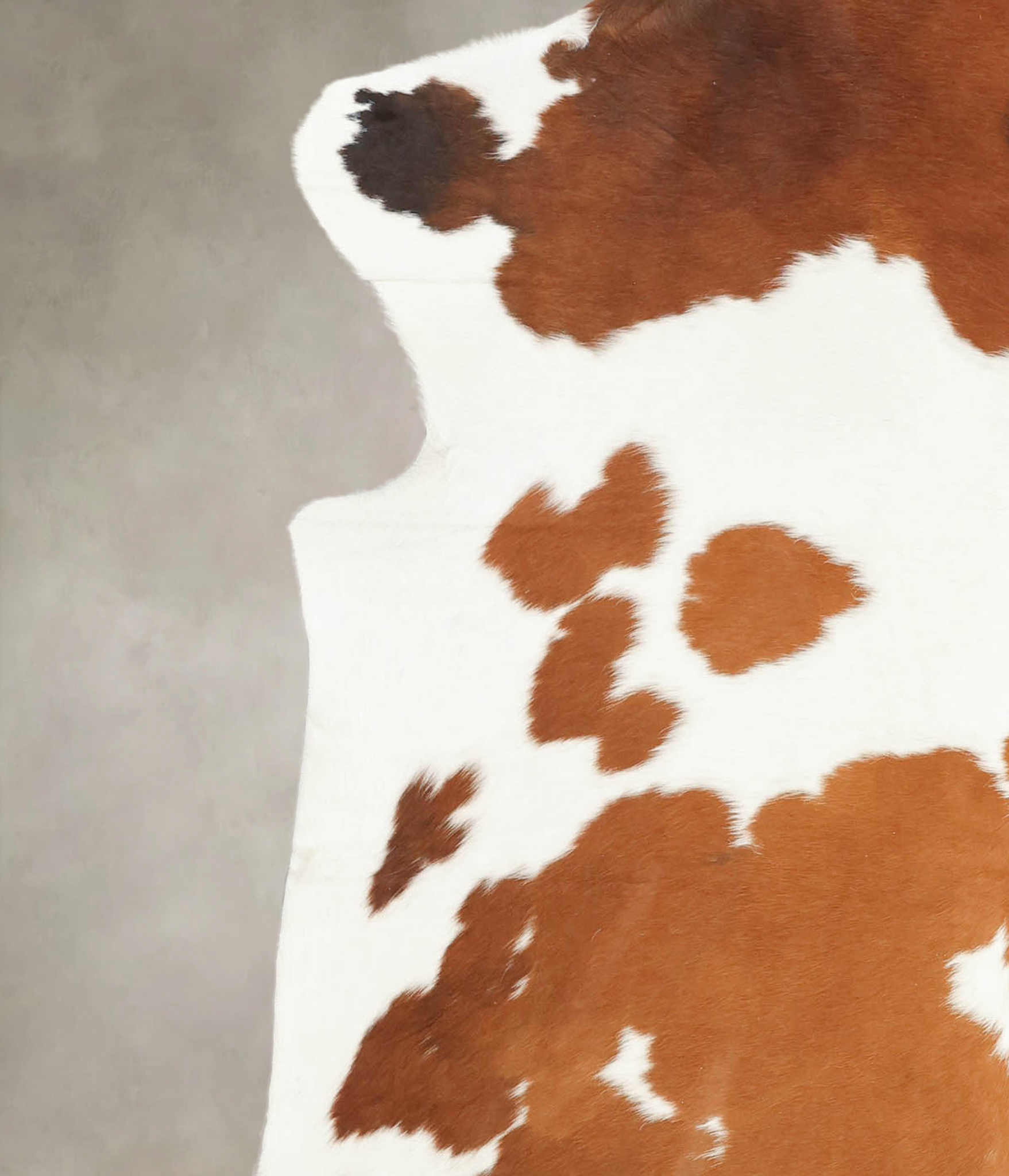 Brown and White Cowhide Rug #B5483