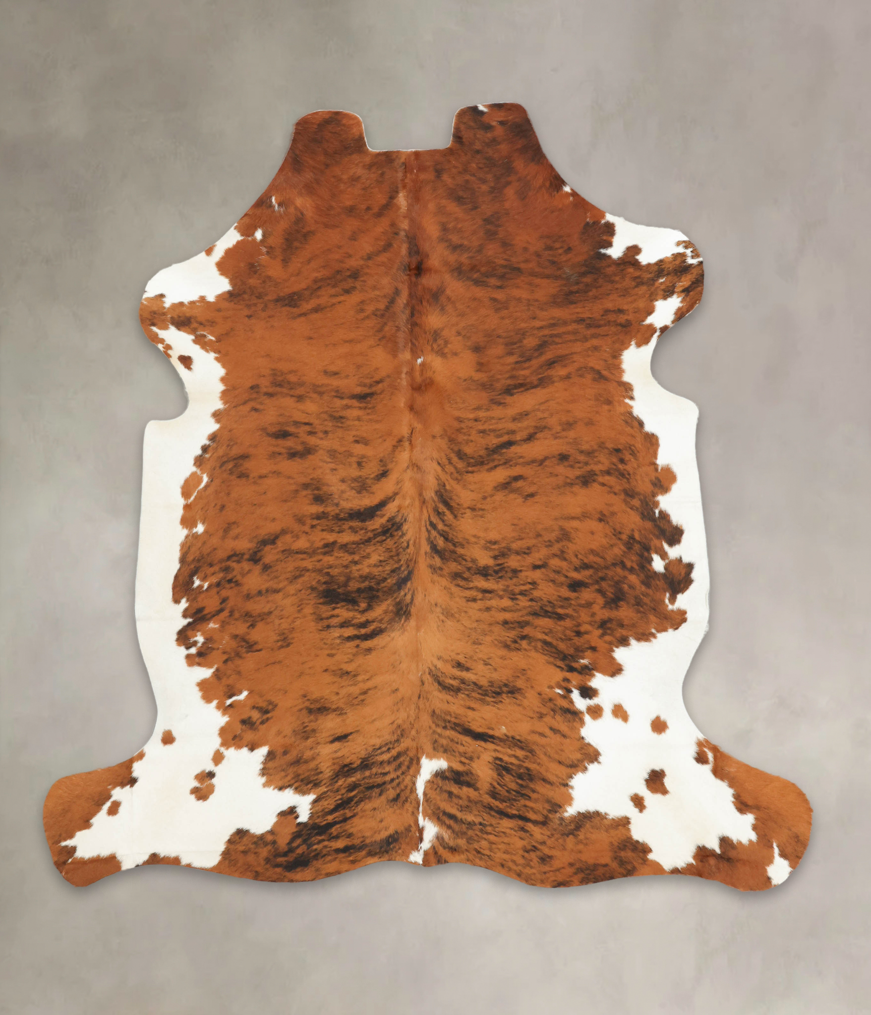 Tricolor Cowhide Rug #B5509