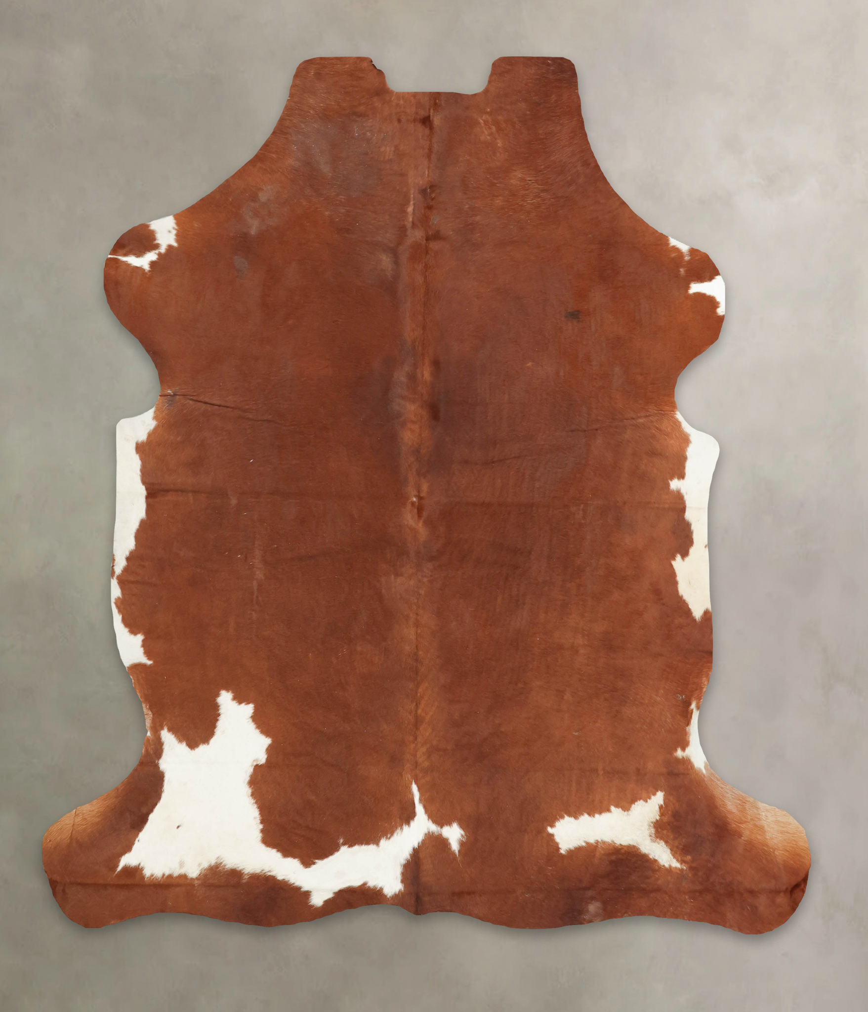 Brown and White Cowhide Rug #B5515