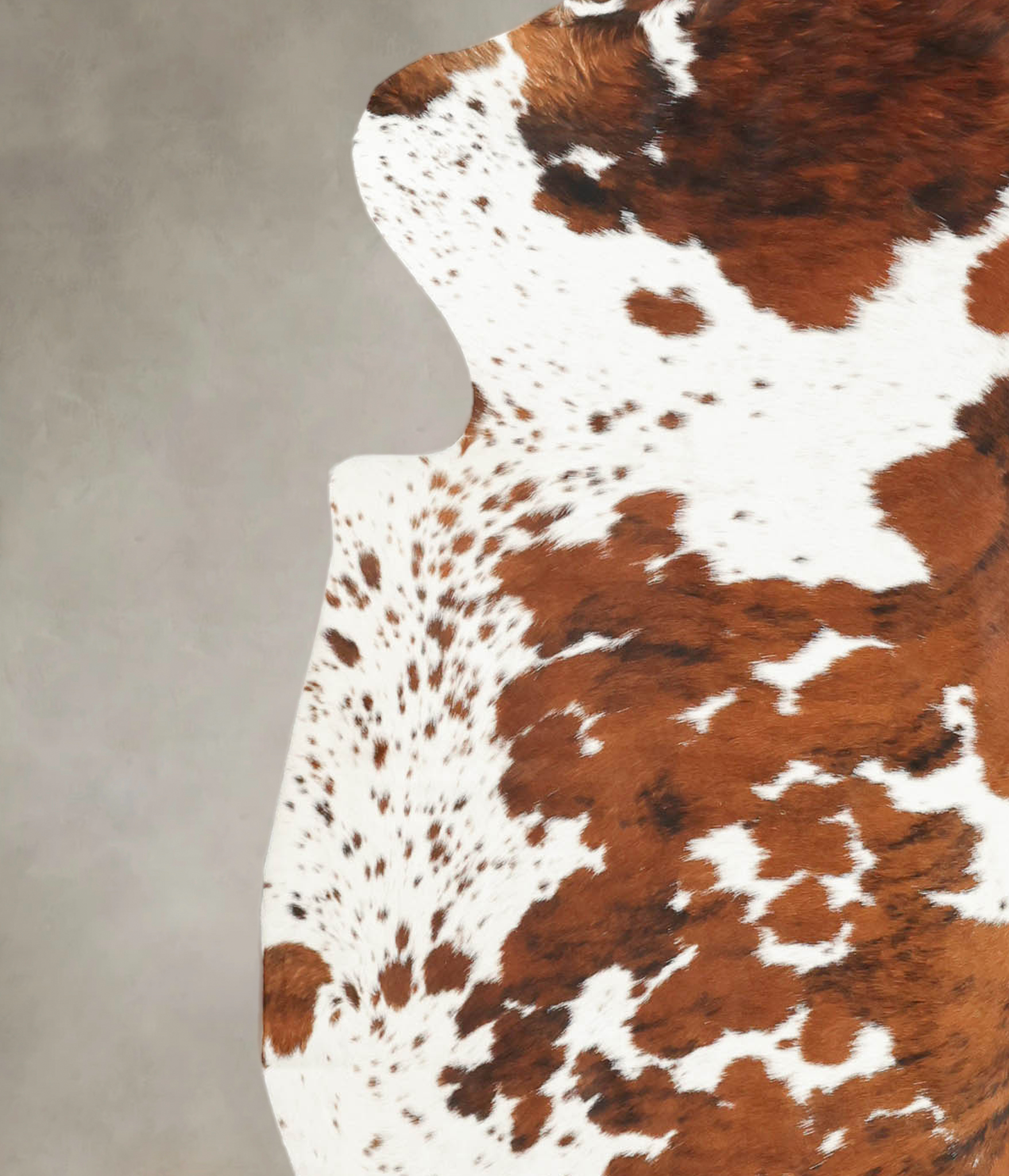 Tricolor Cowhide Rug #B5524