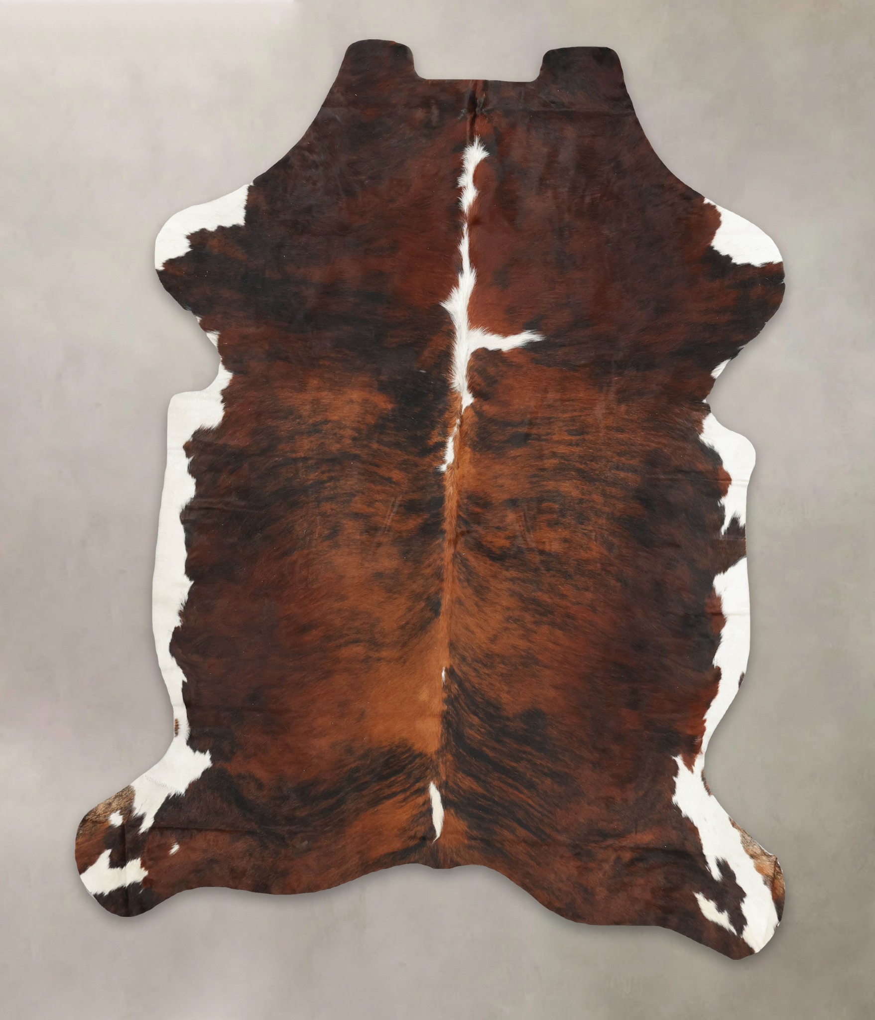 Tricolor Cowhide Rug #B5535