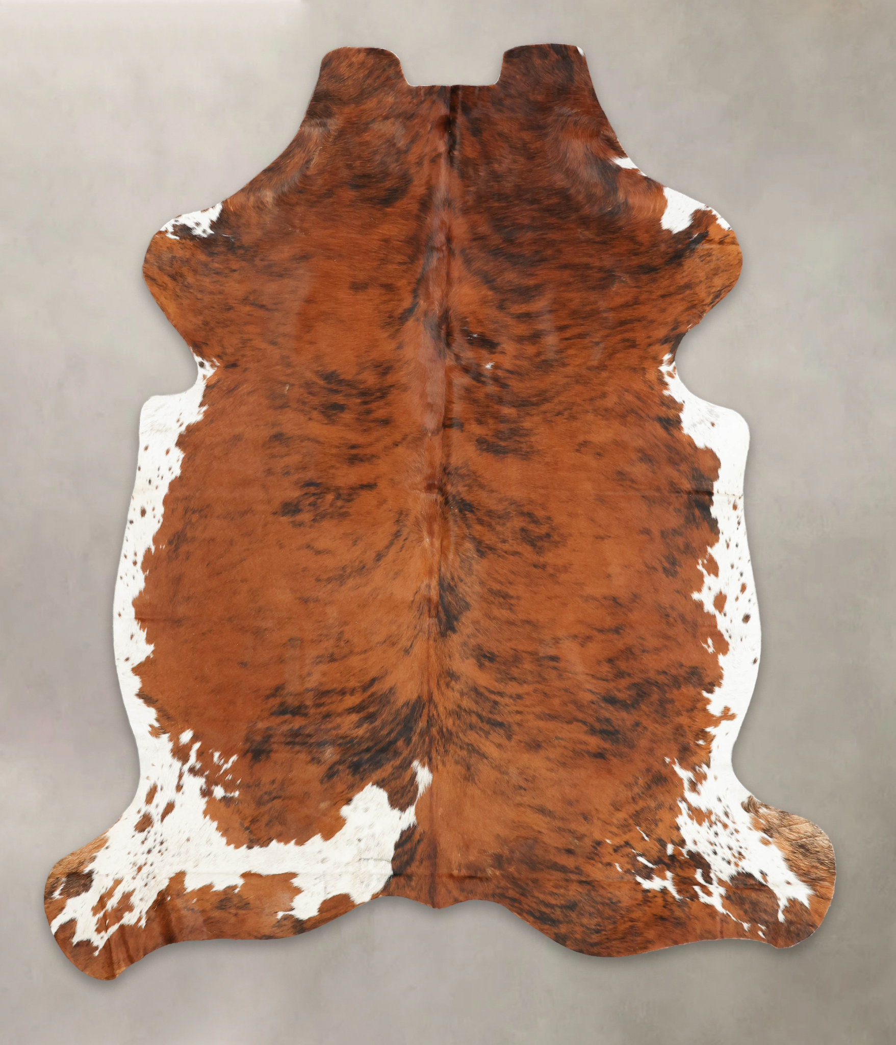 Tricolor Cowhide Rug #B5537