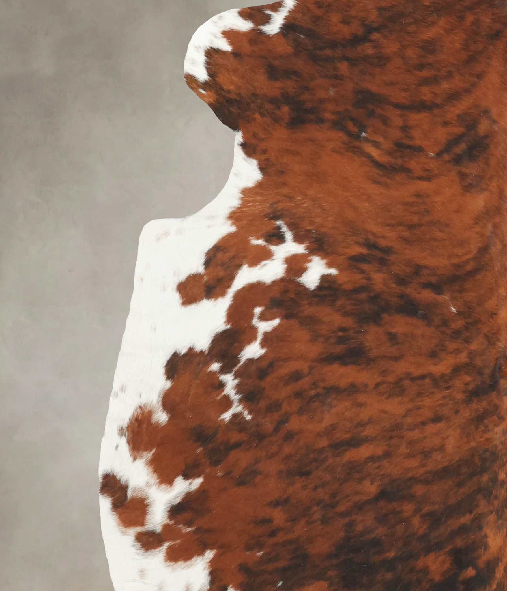 Tricolor Cowhide Rug #B5550