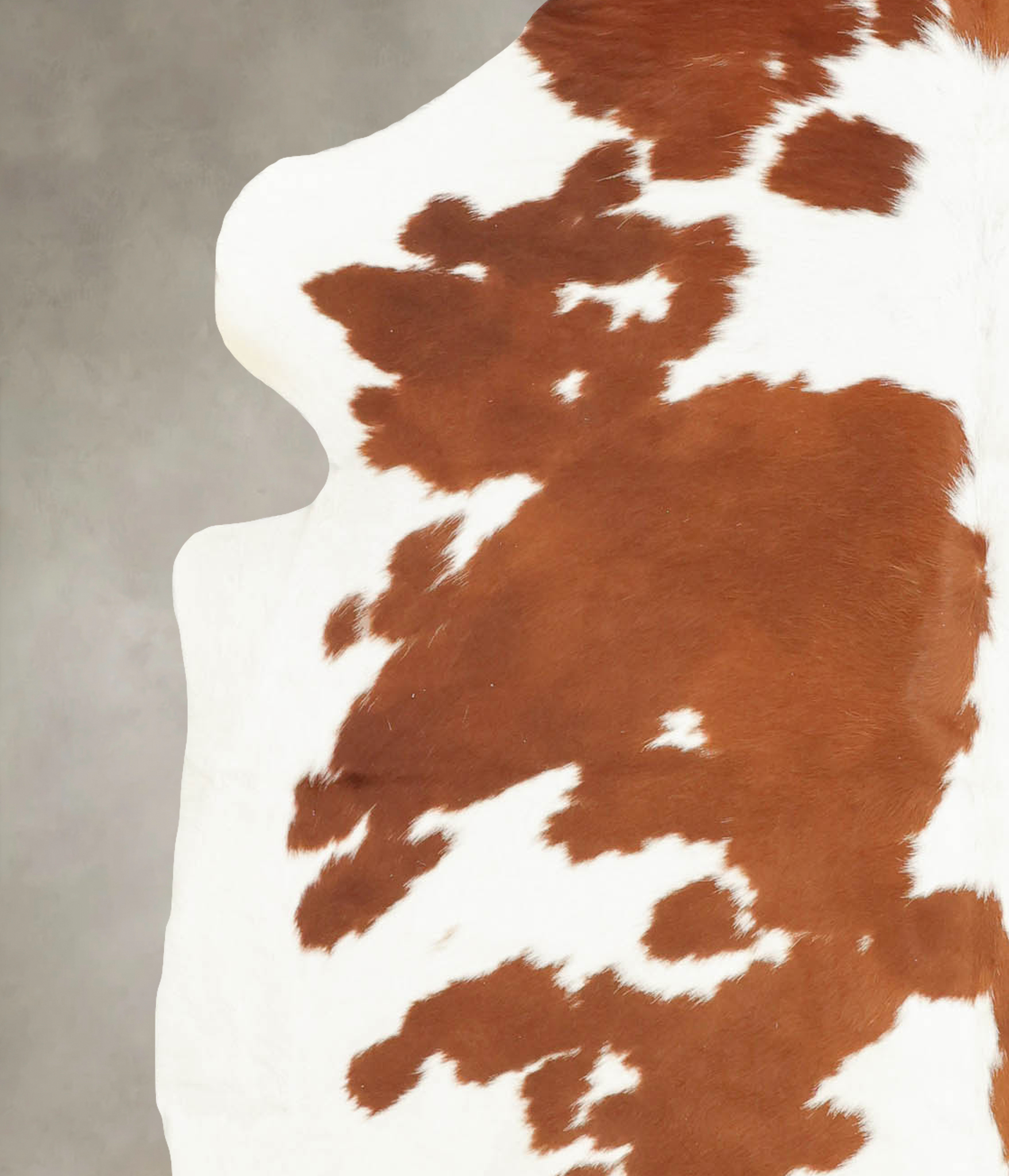 Brown and White Cowhide Rug #B5558