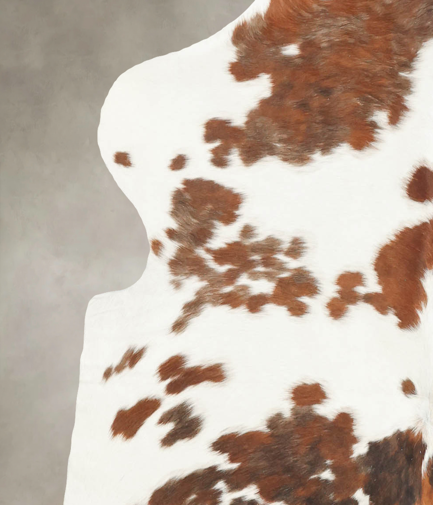 Tricolor Cowhide Rug #B5561