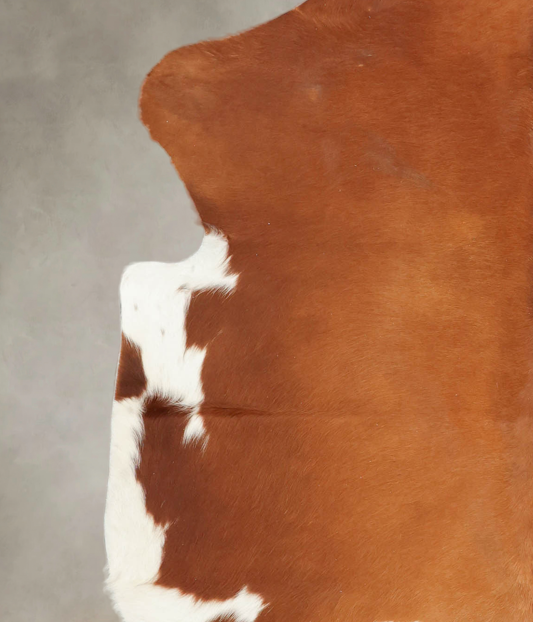 Brown and White Cowhide Rug #B5573