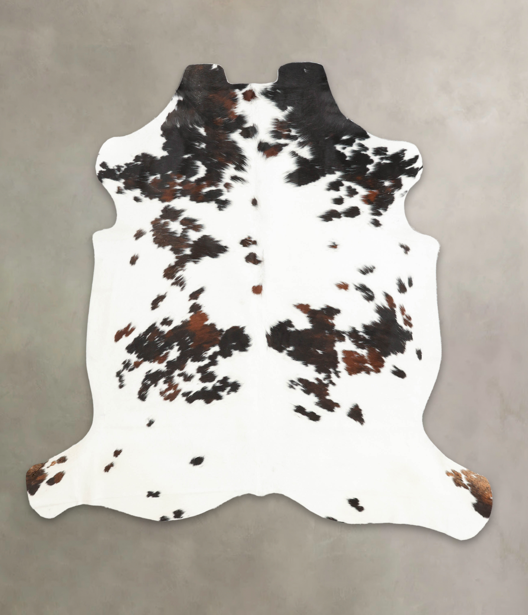 Tricolor Cowhide Rug #B5576