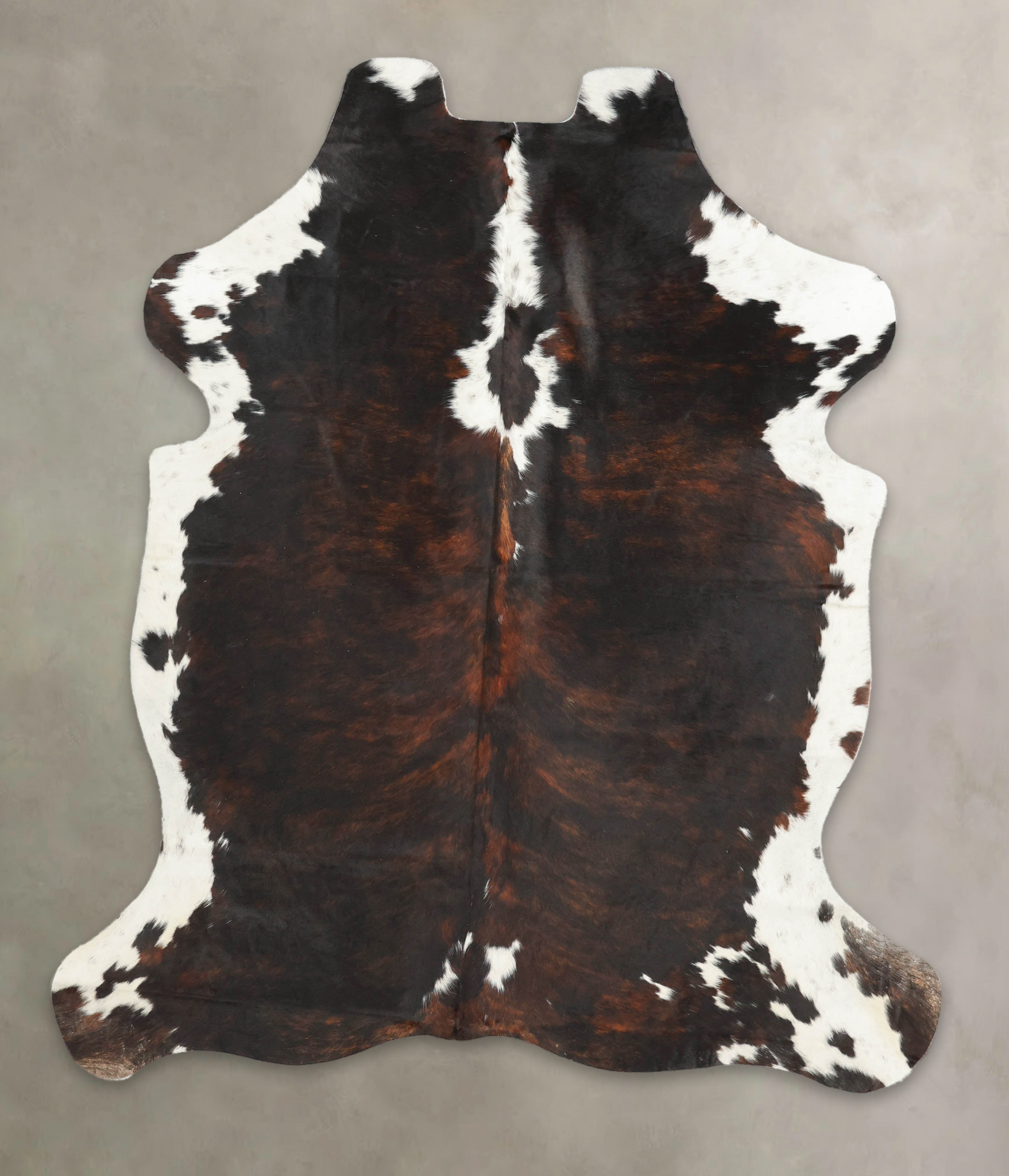 Tricolor Cowhide Rug #B5578