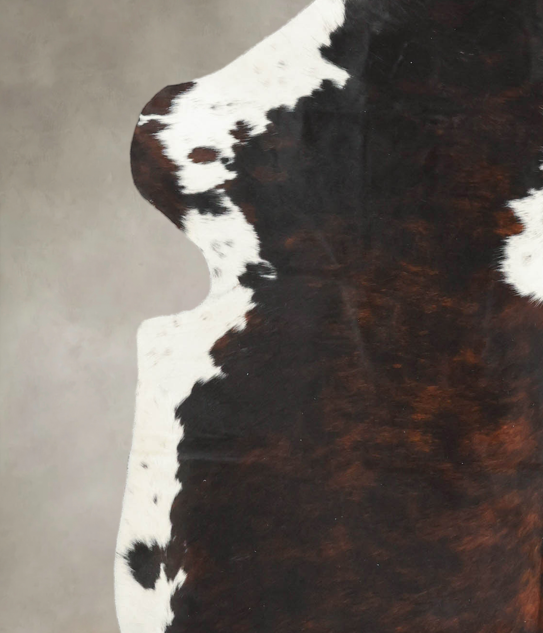 Tricolor Cowhide Rug #B5578