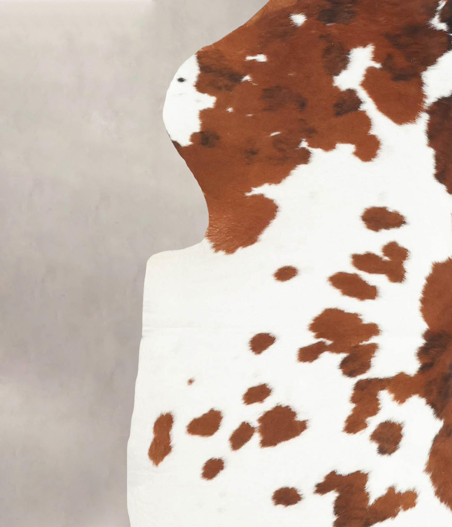 Brown and White Cowhide Rug #B5580