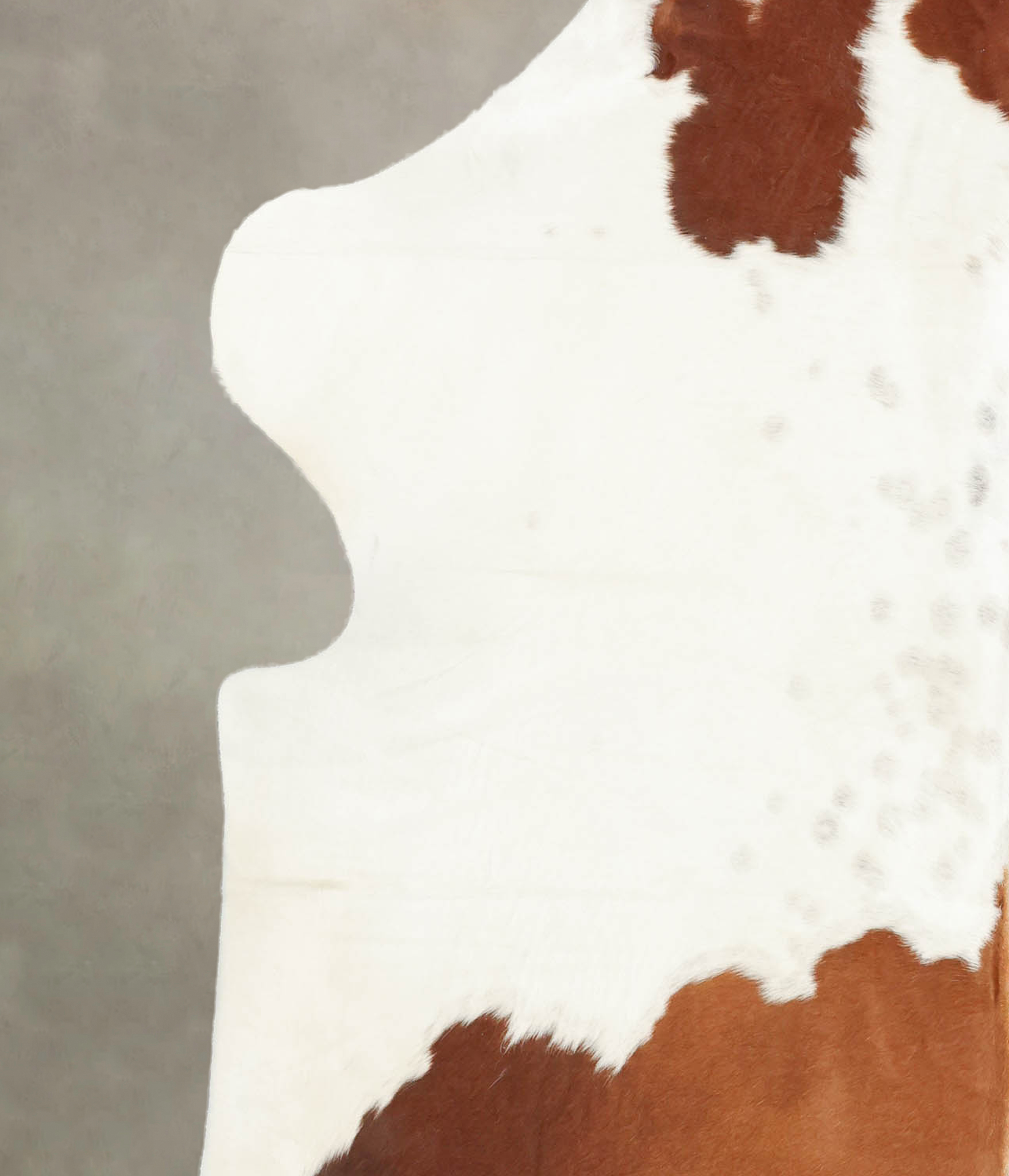 Brown and White Cowhide Rug #B5586