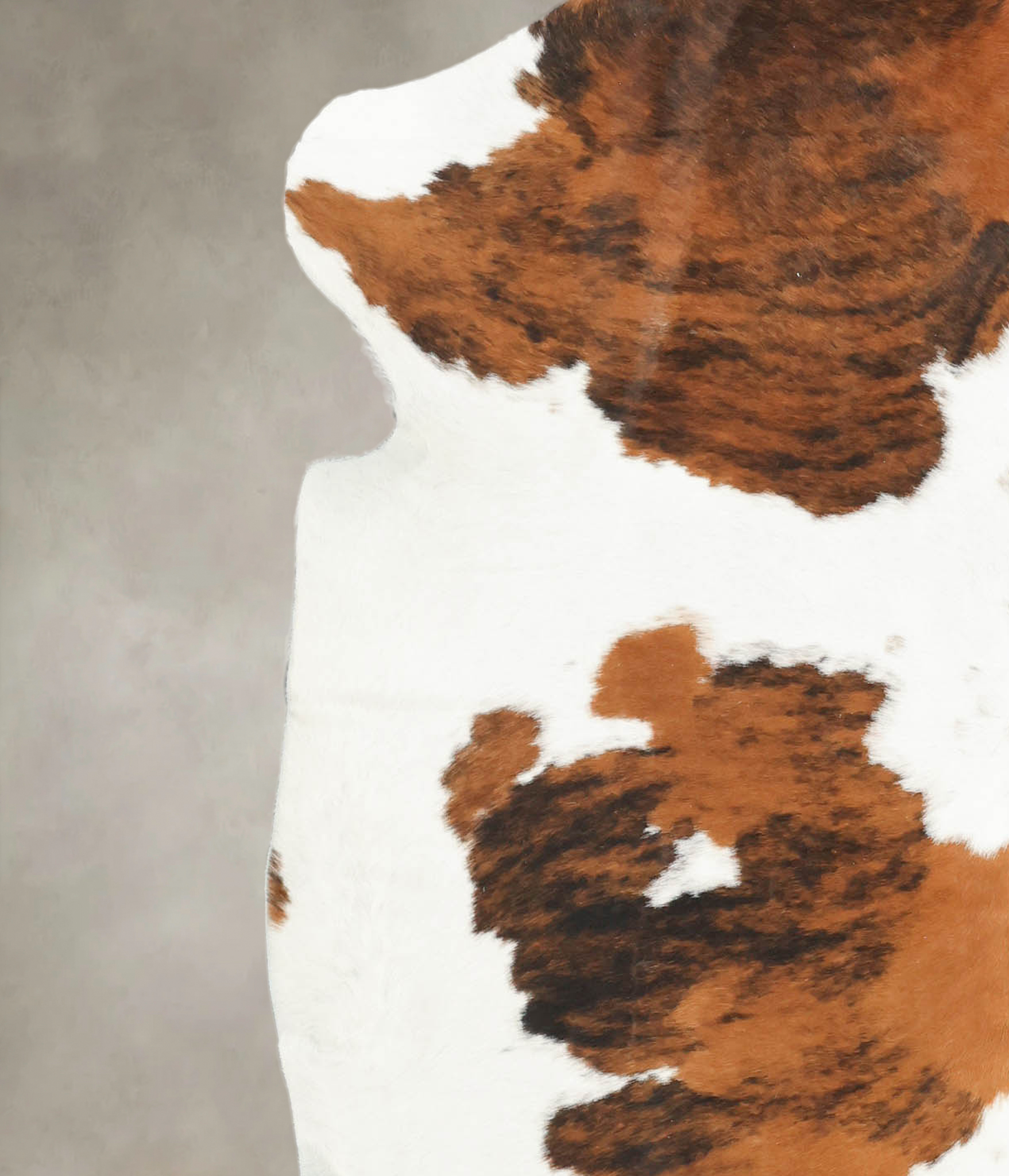 Tricolor Cowhide Rug #B5595