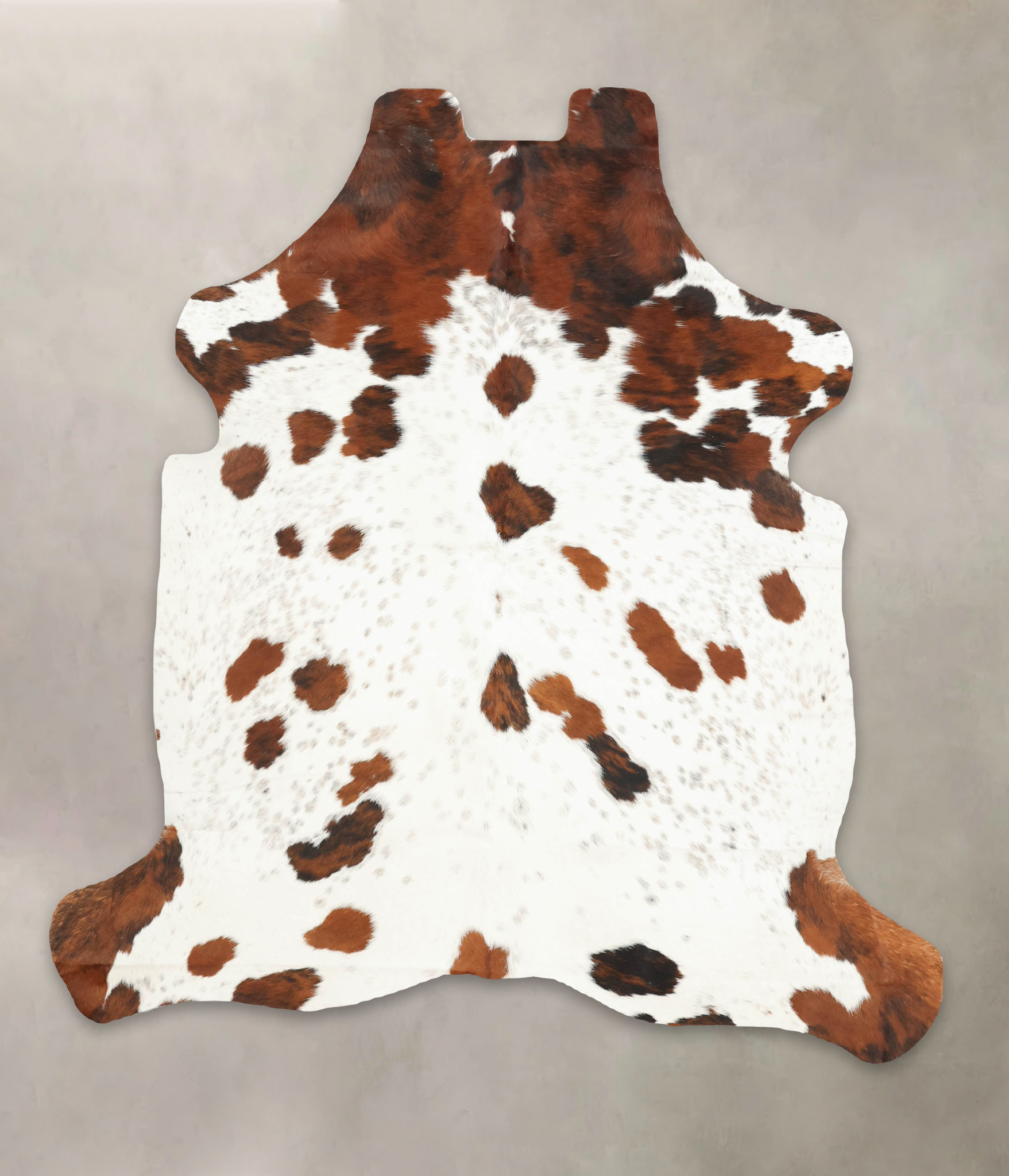 Tricolor Cowhide Rug #B5596