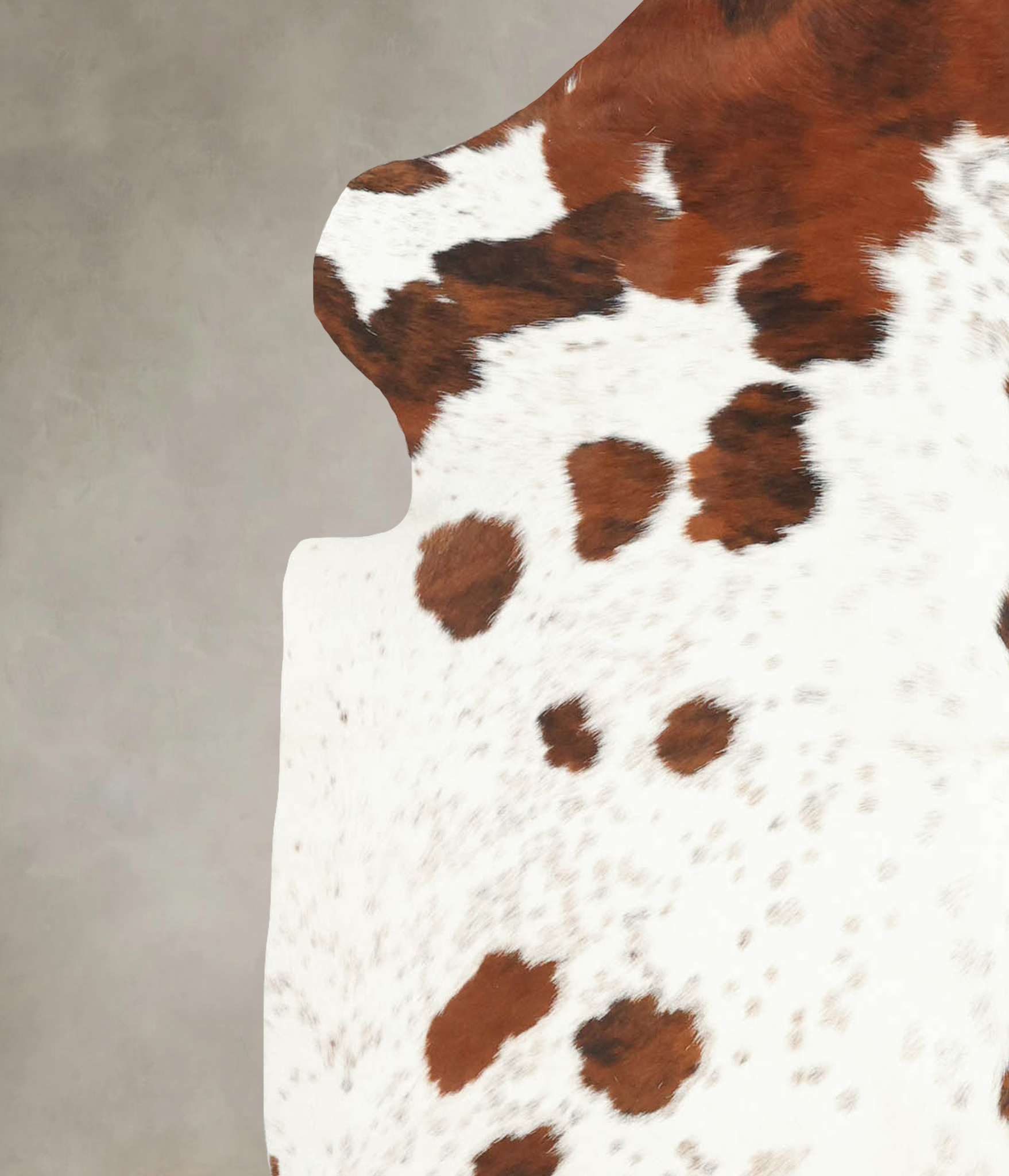 Tricolor Cowhide Rug #B5596