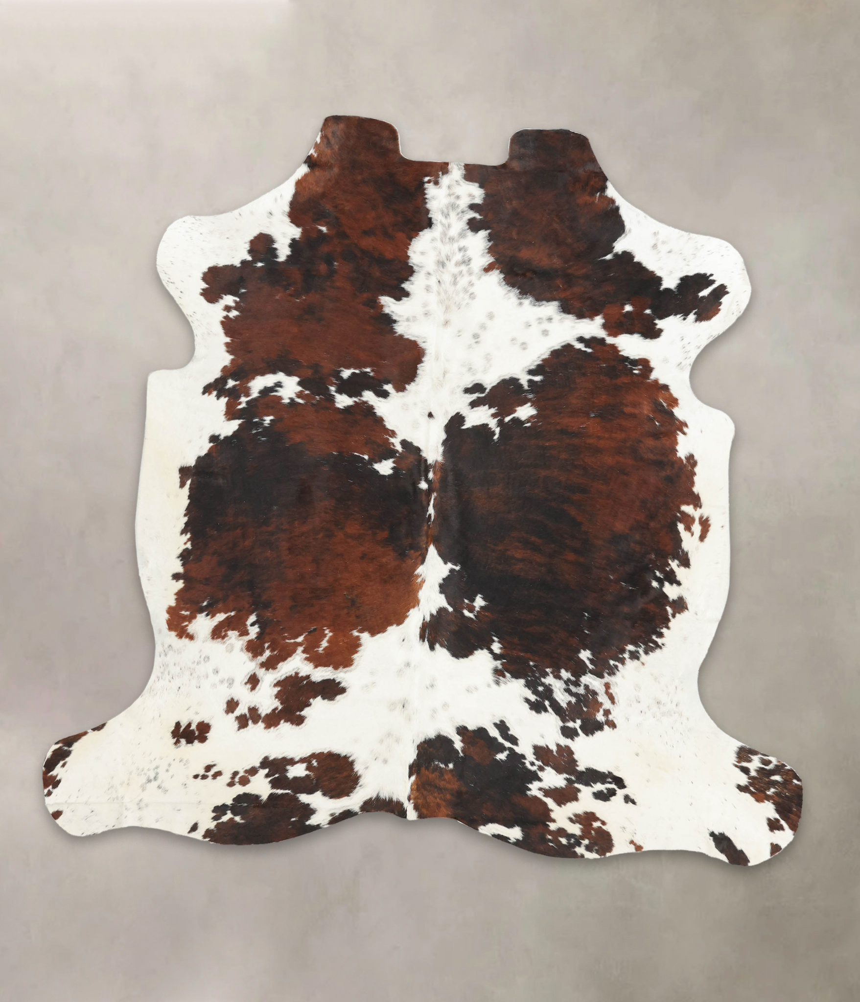 Tricolor Cowhide Rug #B5598