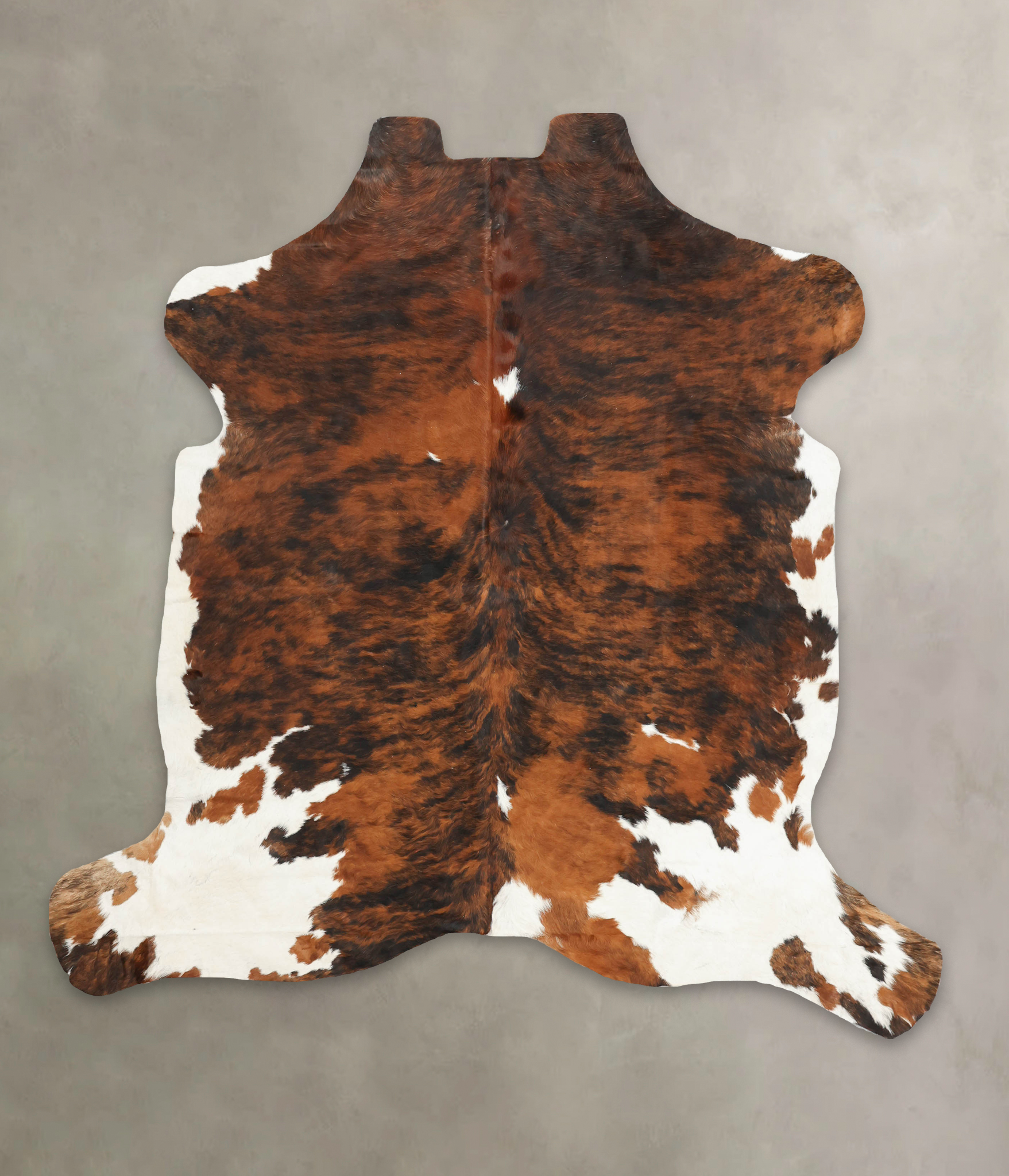 Tricolor Cowhide Rug #B5600