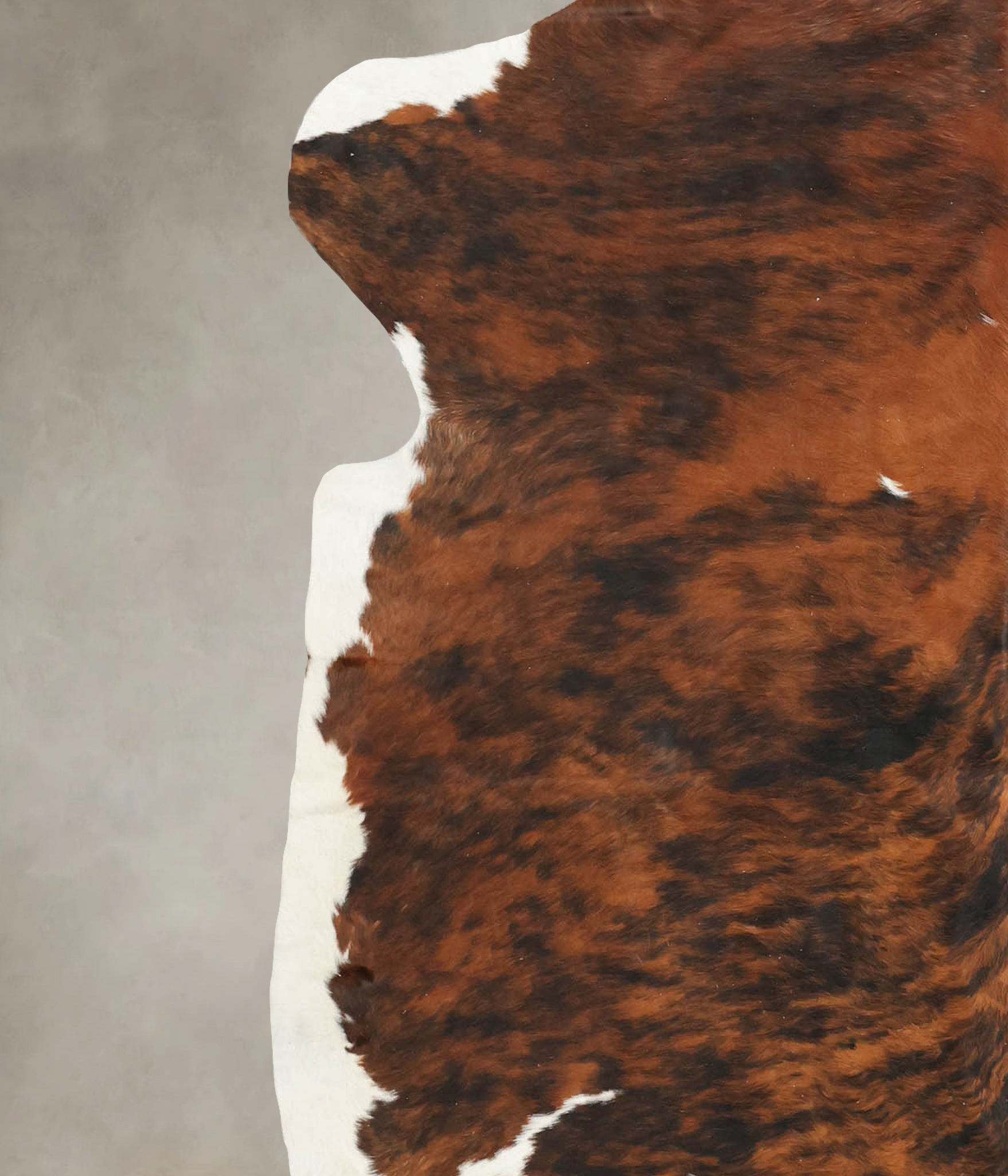 Tricolor Cowhide Rug #B5600