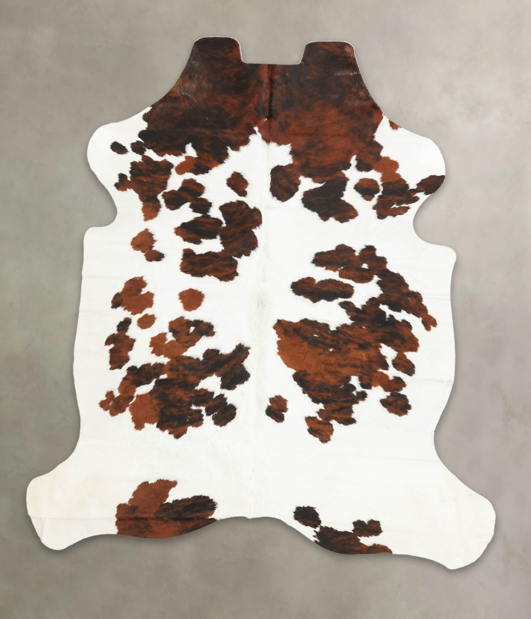 Tricolor Cowhide Rug #B5606