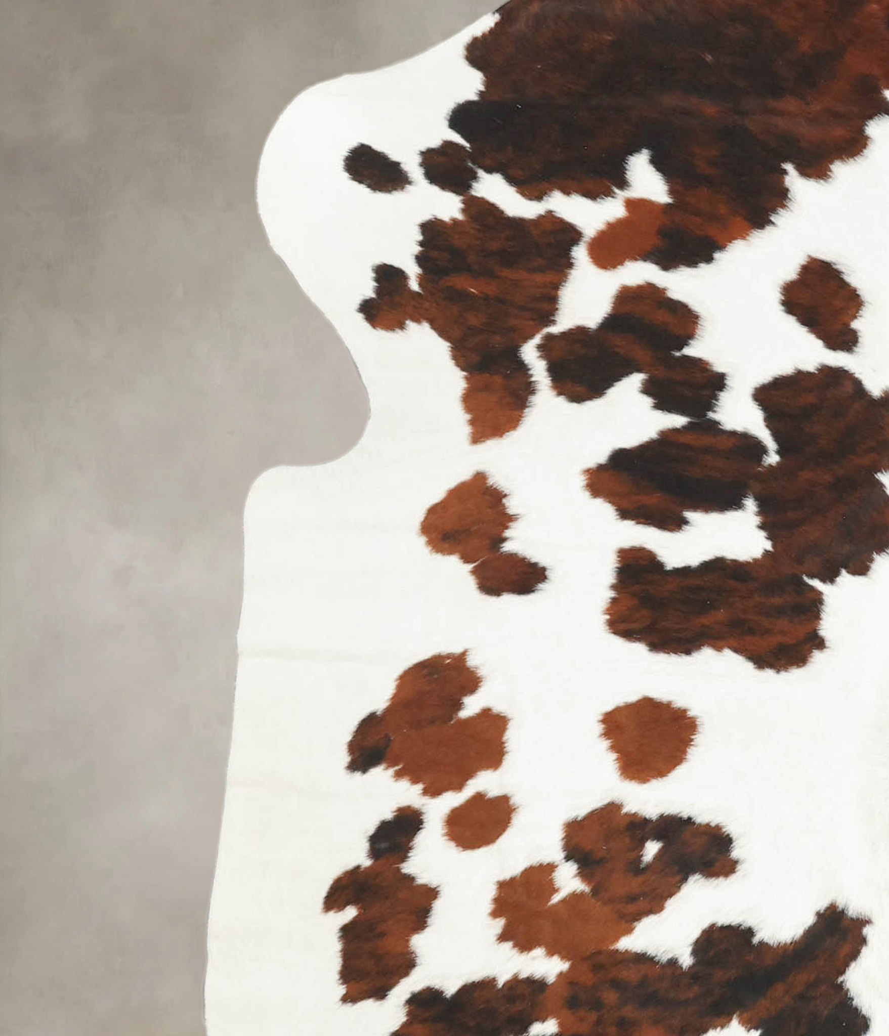 Tricolor Cowhide Rug #B5606