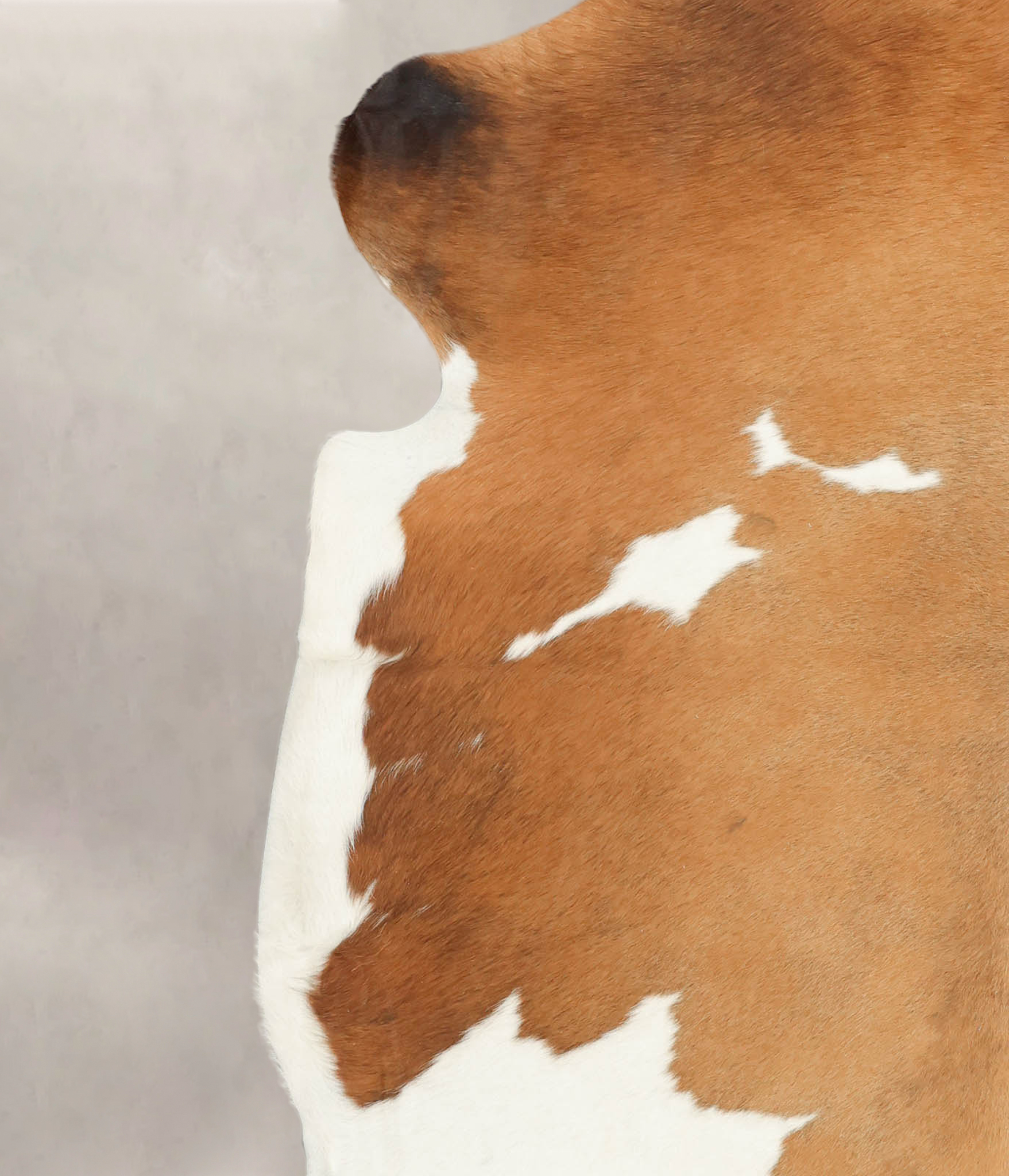 Brown and White Cowhide Rug #B5614