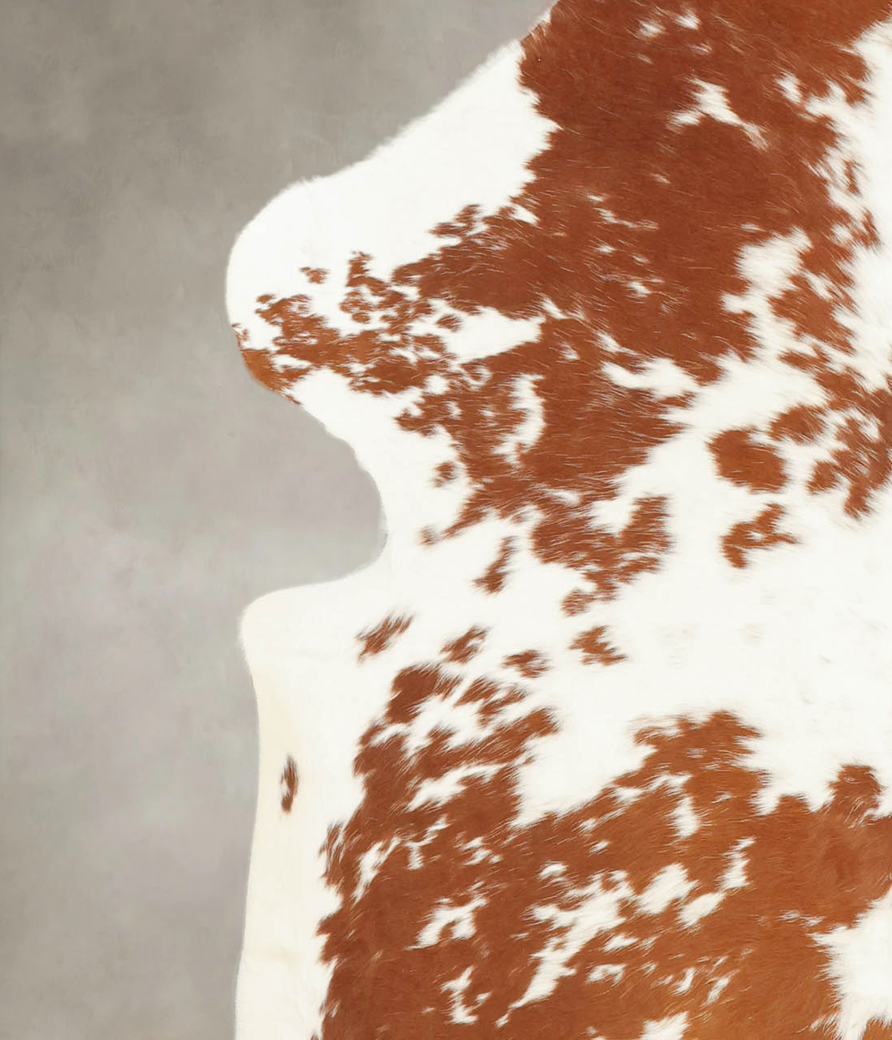 Brown and White Cowhide Rug #B5627