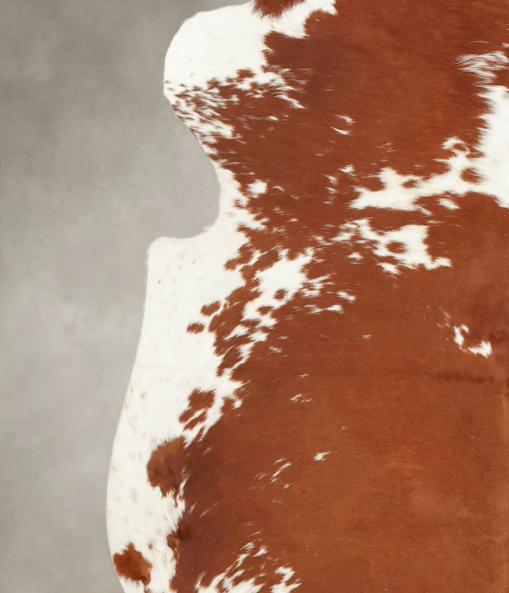 Brown and White Cowhide Rug #B5629