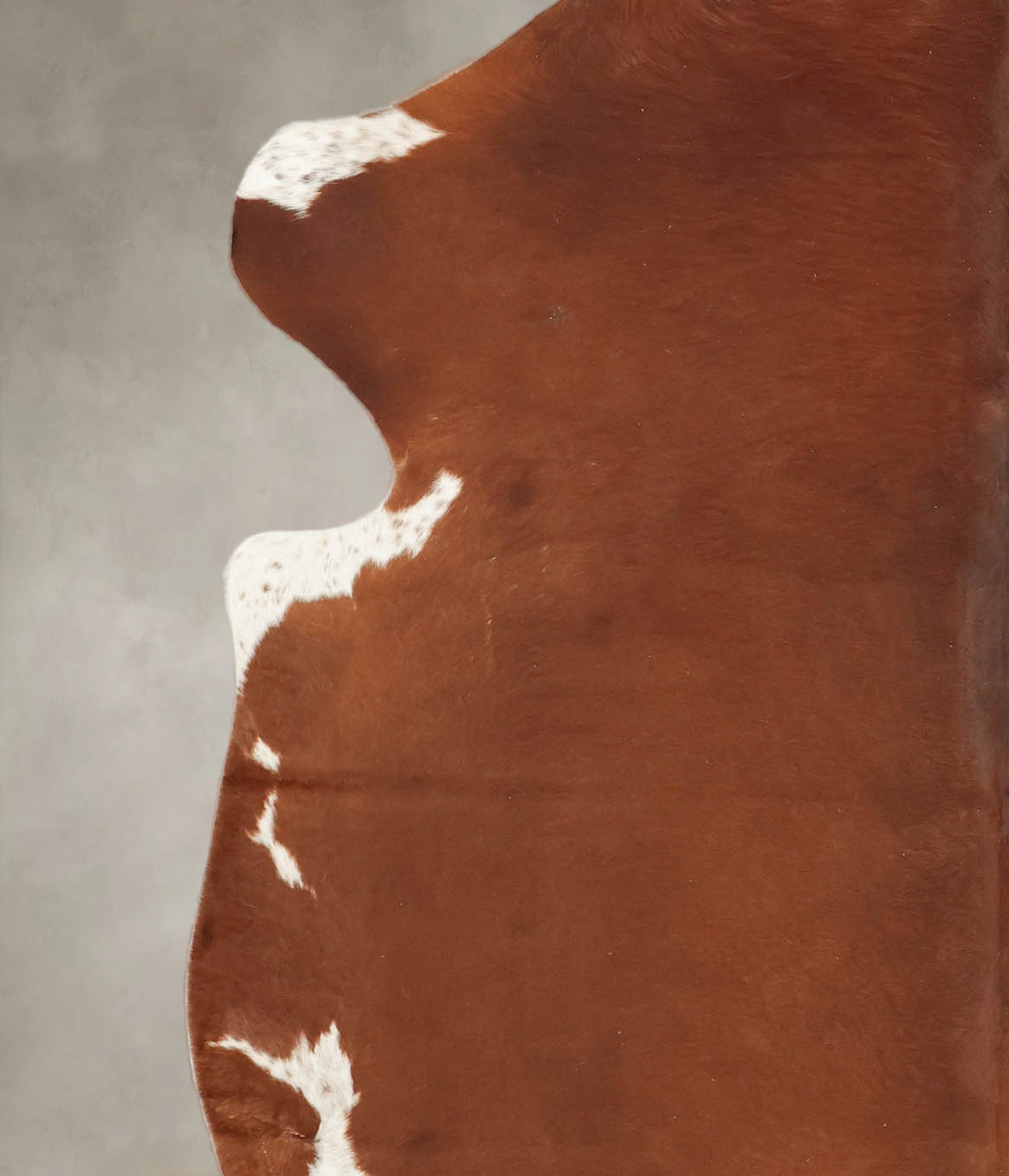 Brown and White Cowhide Rug #B5630