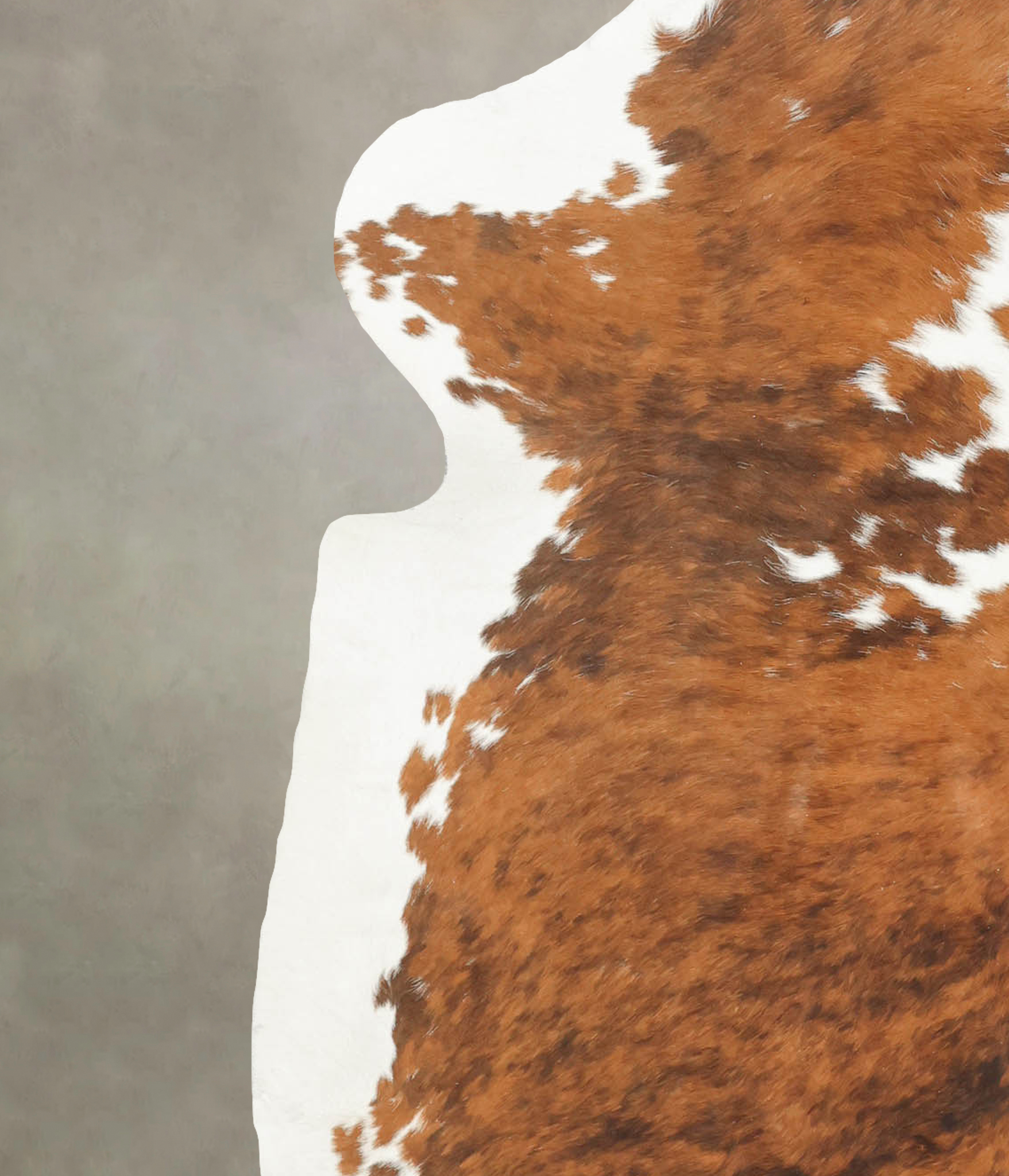 Tricolor Cowhide Rug #B5637