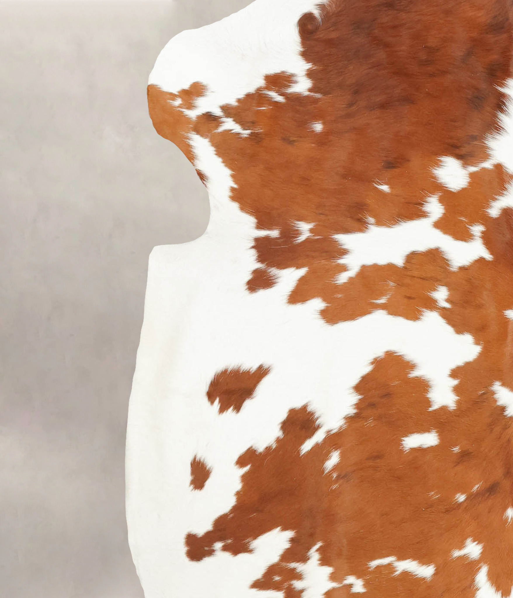 Brown and White Cowhide Rug #B5638