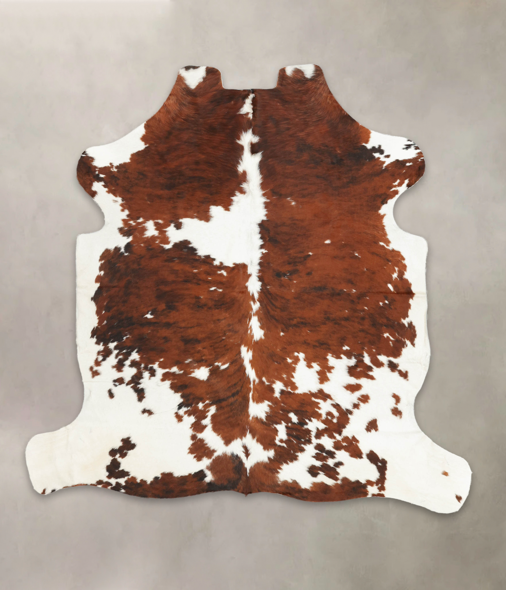 Tricolor Cowhide Rug #B5646