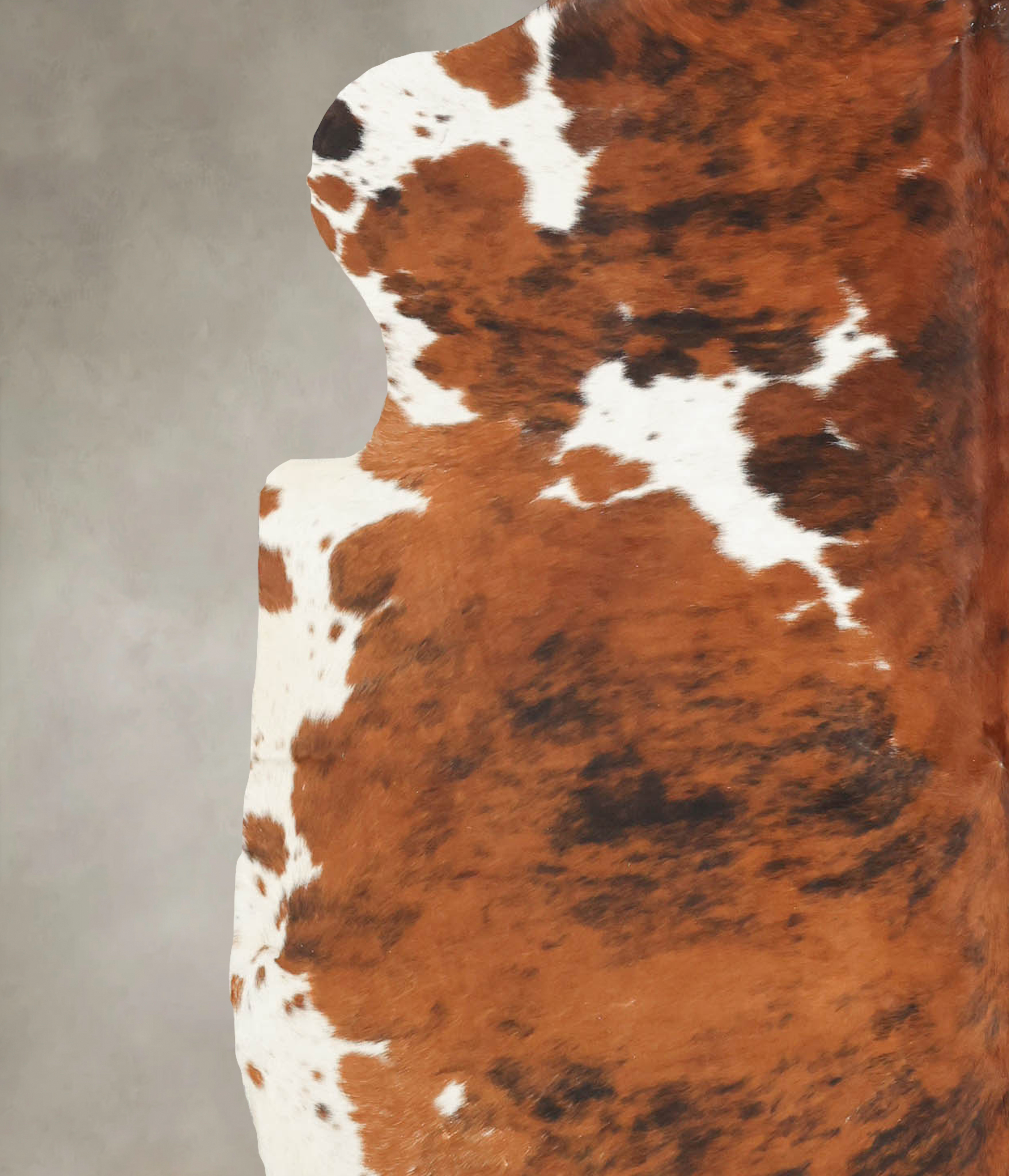 Tricolor Cowhide Rug #B5650