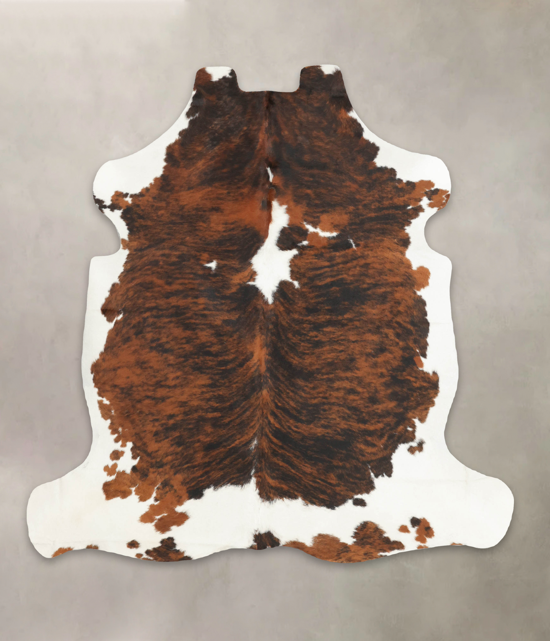 Tricolor Cowhide Rug #B5674