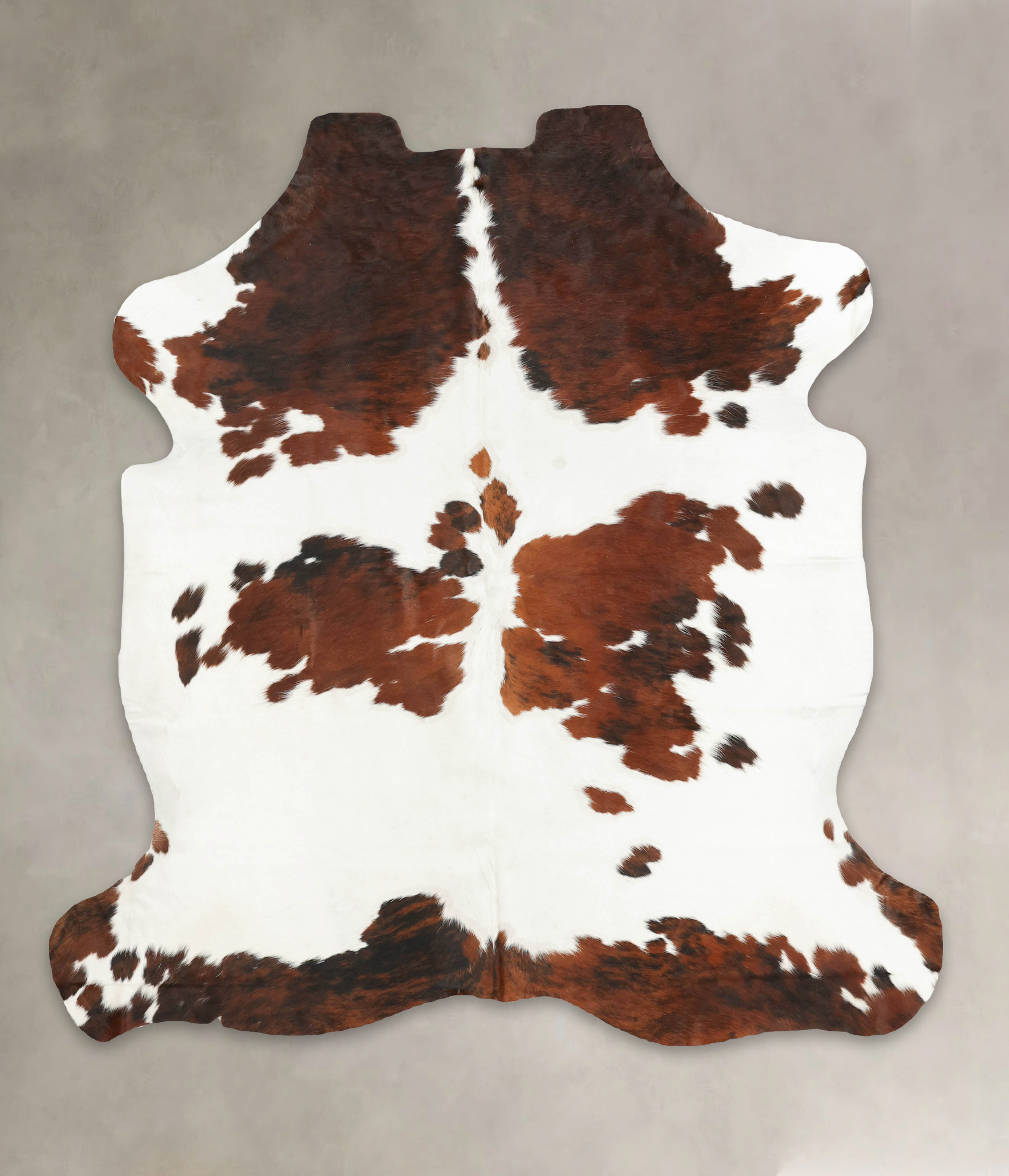 Tricolor Cowhide Rug #B5687