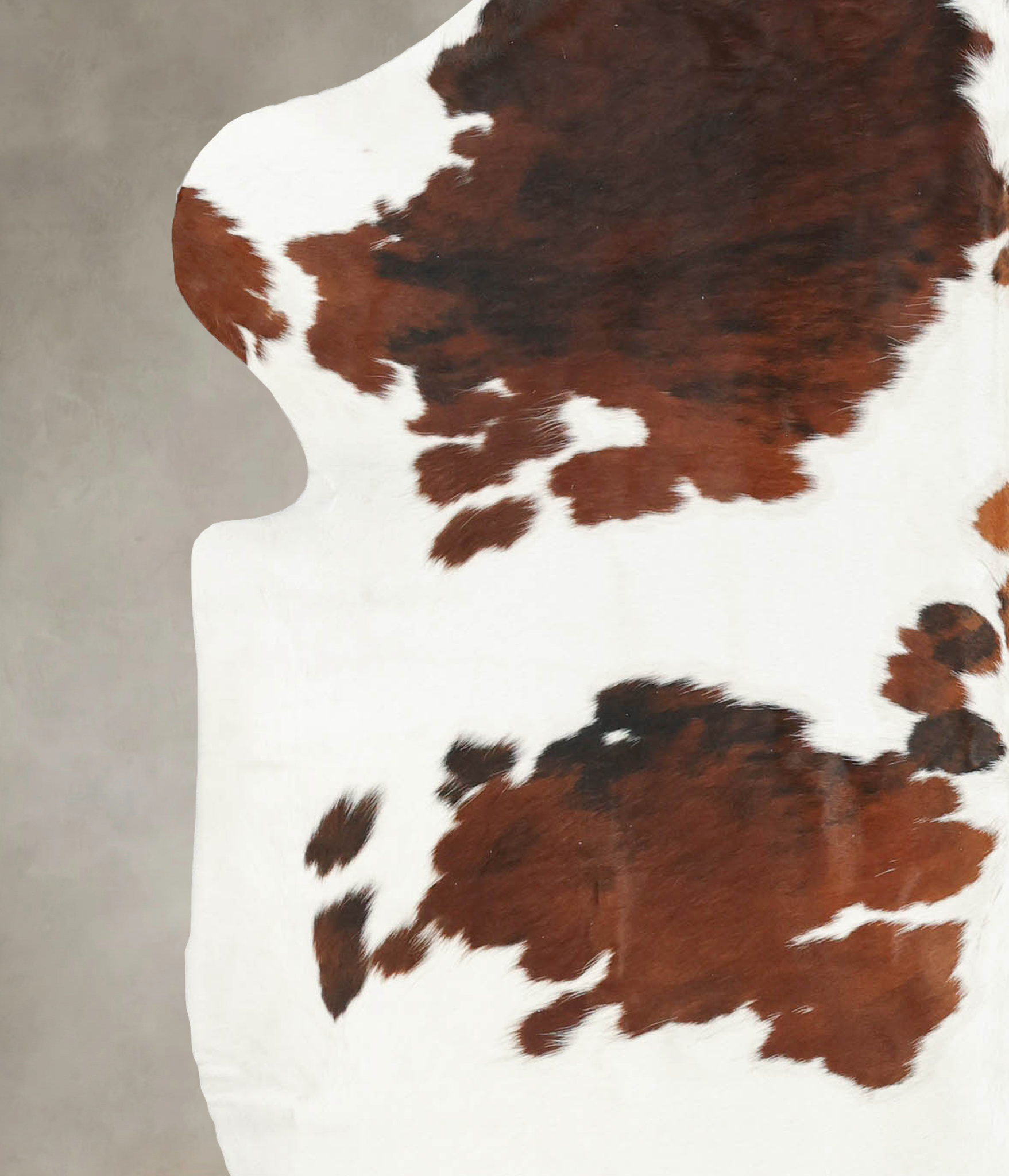 Tricolor Cowhide Rug #B5687