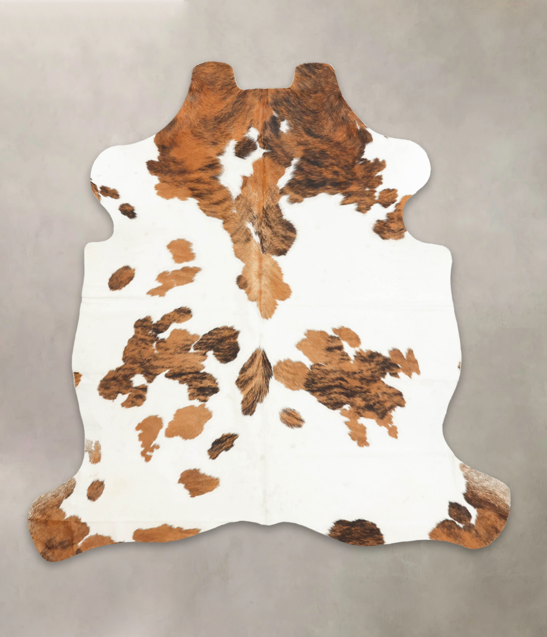 Tricolor Cowhide Rug #B5688