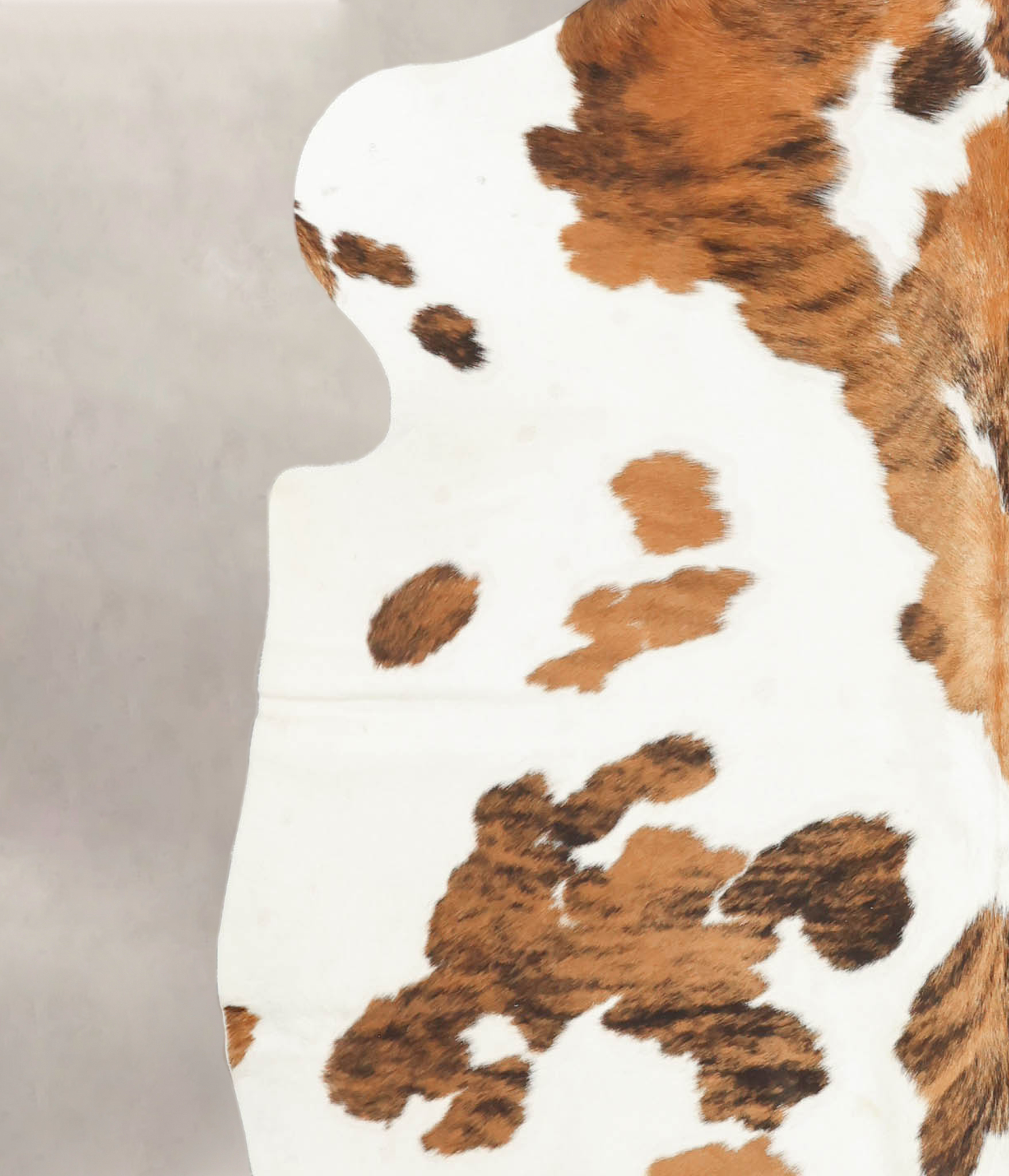 Tricolor Cowhide Rug #B5688