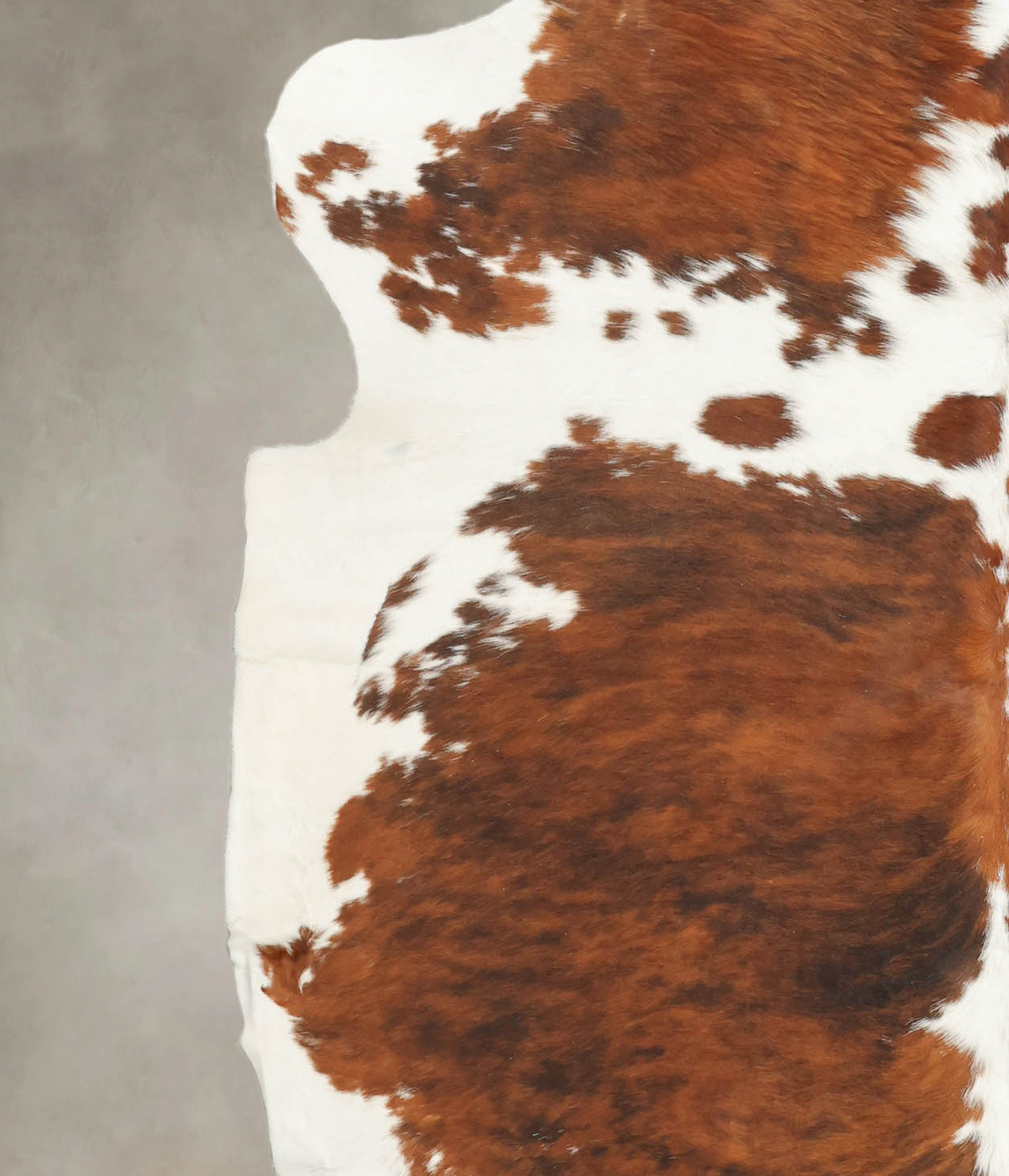 Tricolor Cowhide Rug #B5689