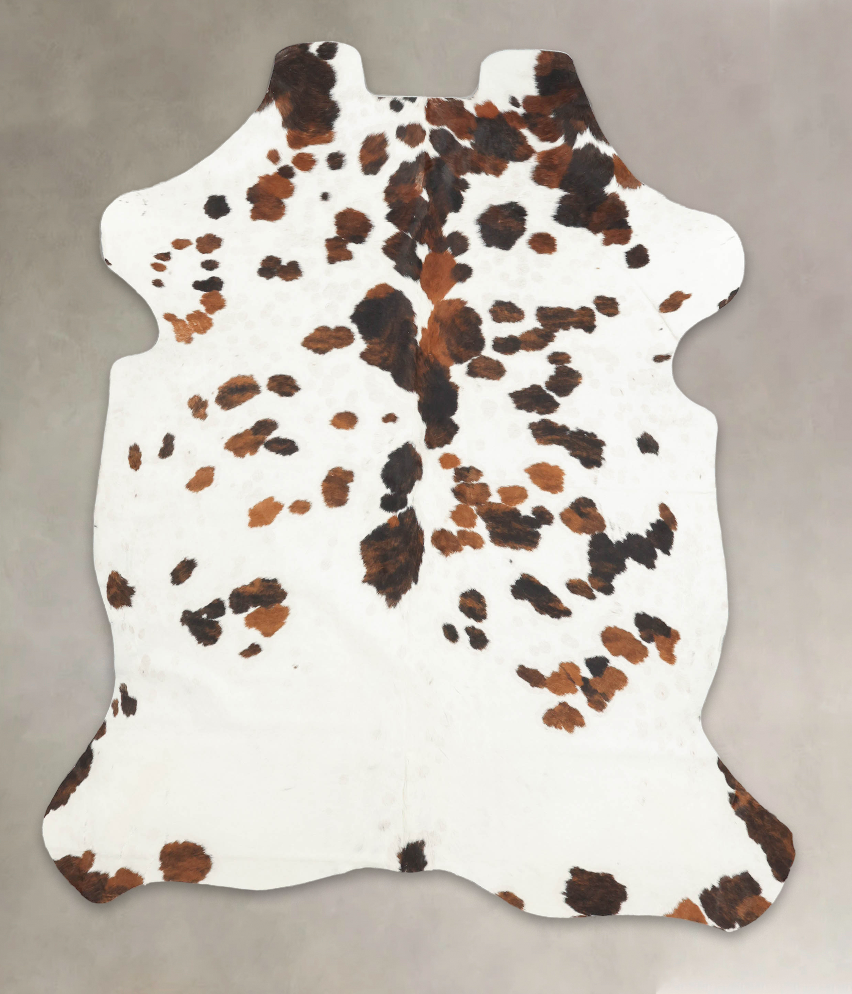 Tricolor Cowhide Rug #B5693