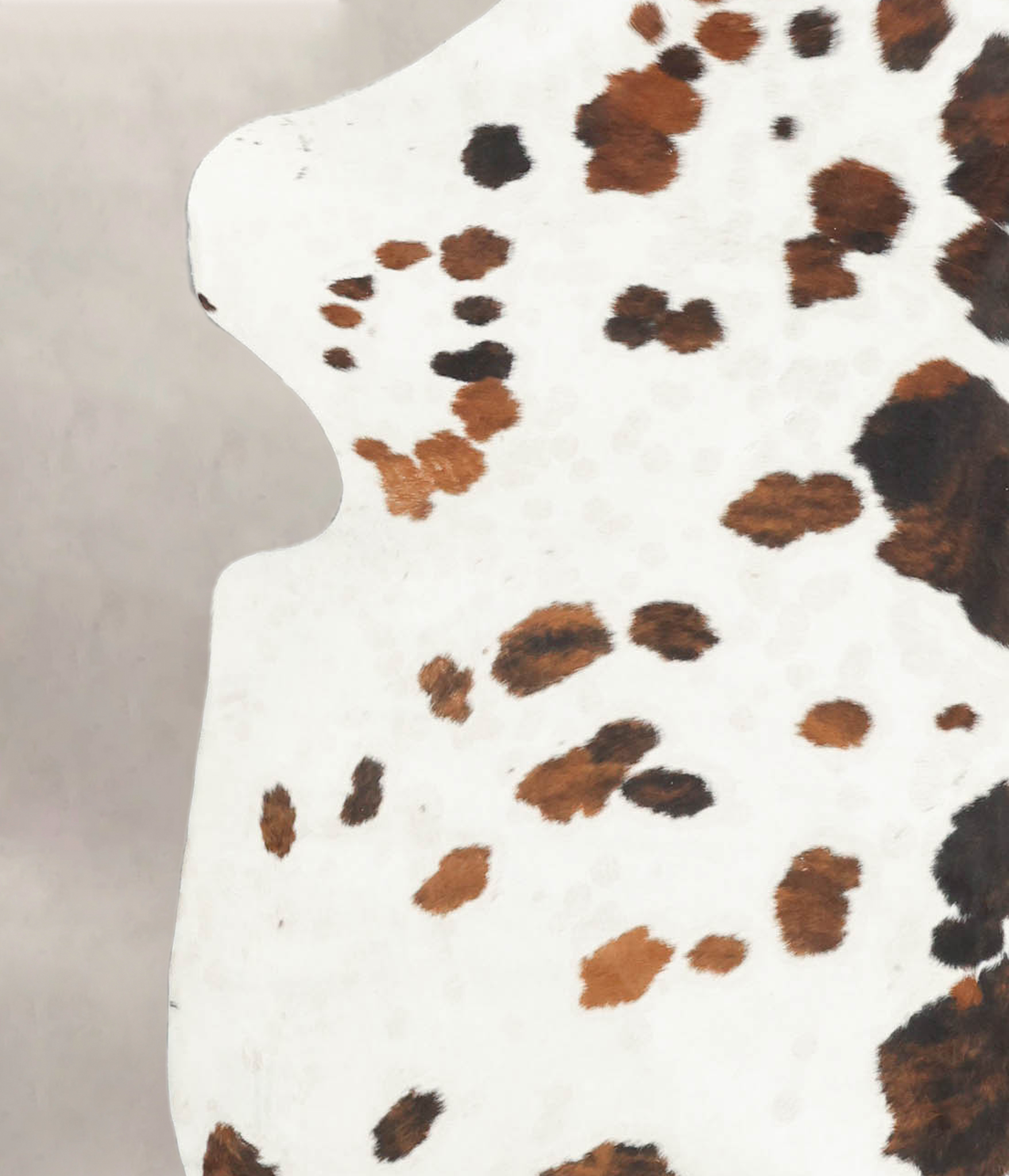 Tricolor Cowhide Rug #B5693