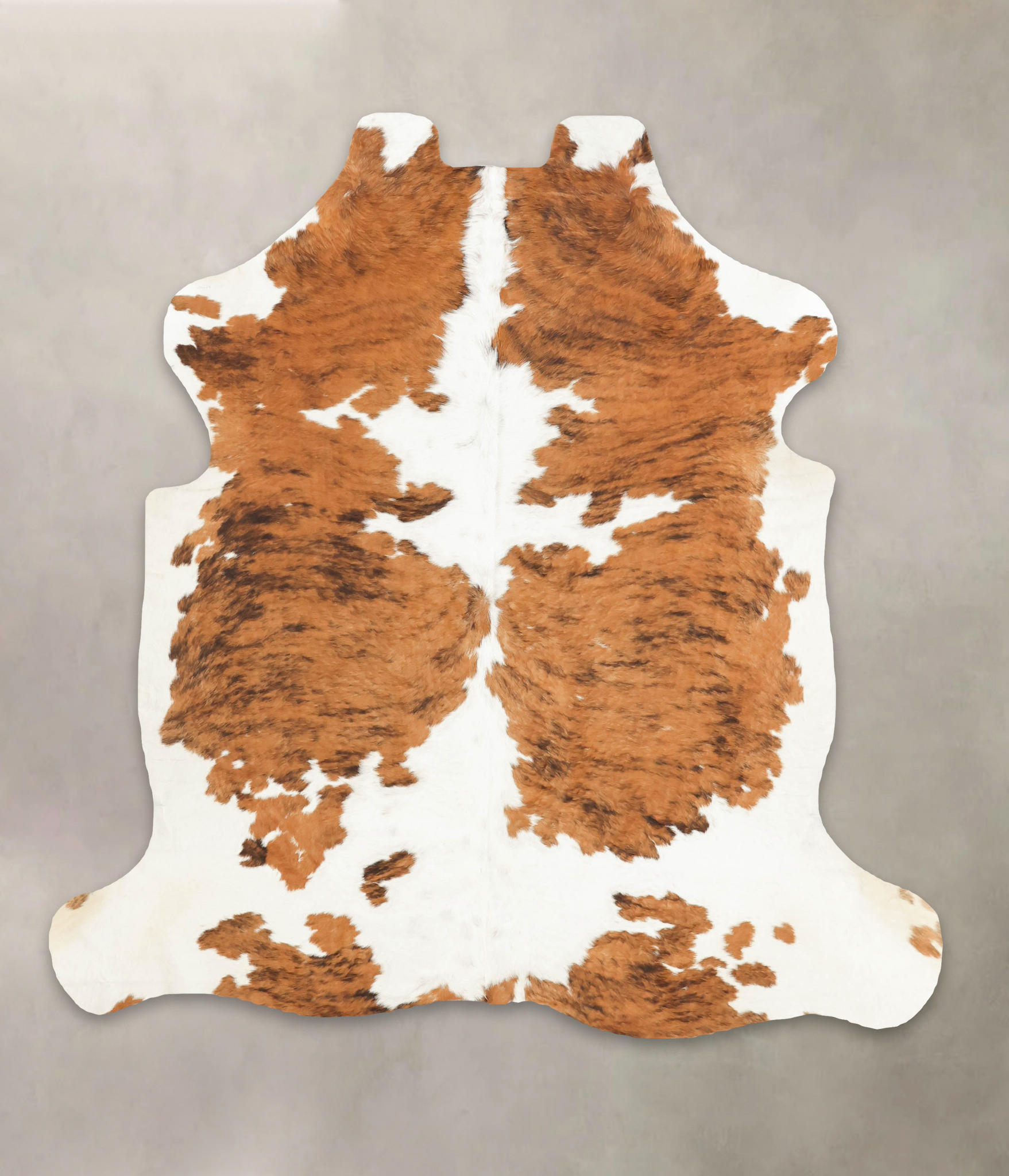 Tricolor Cowhide Rug #B5699