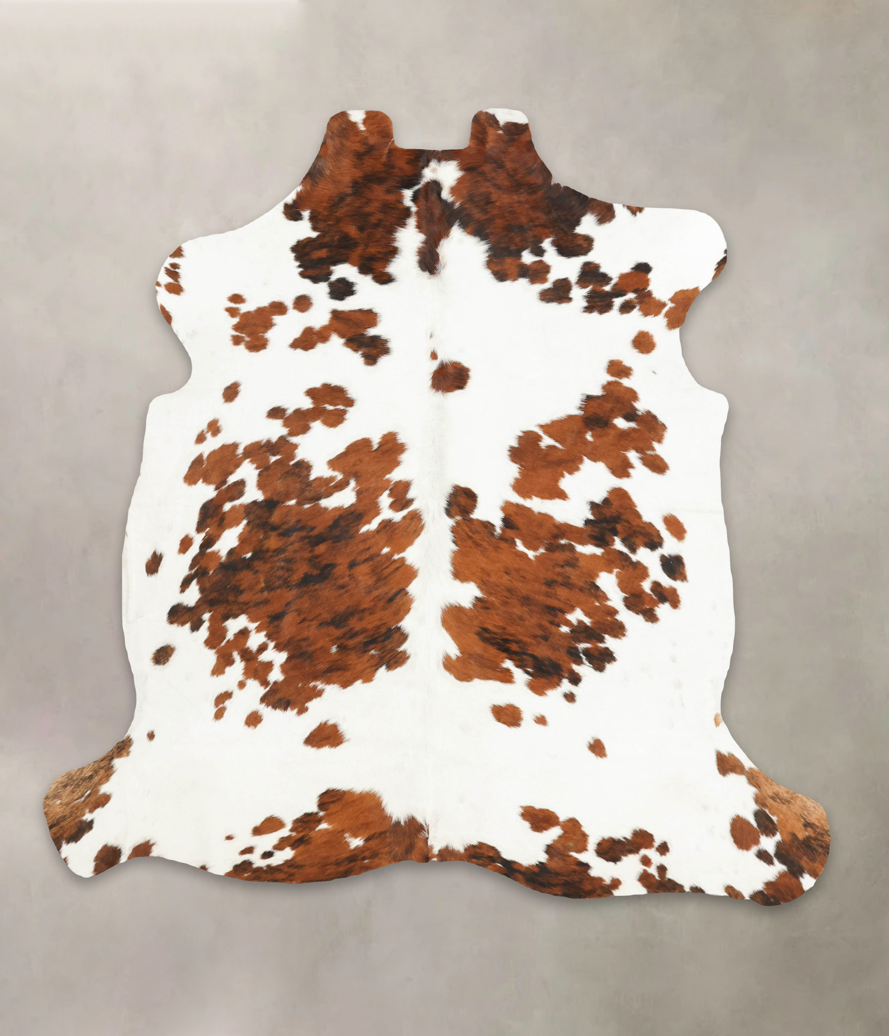 Tricolor Cowhide Rug #B5701