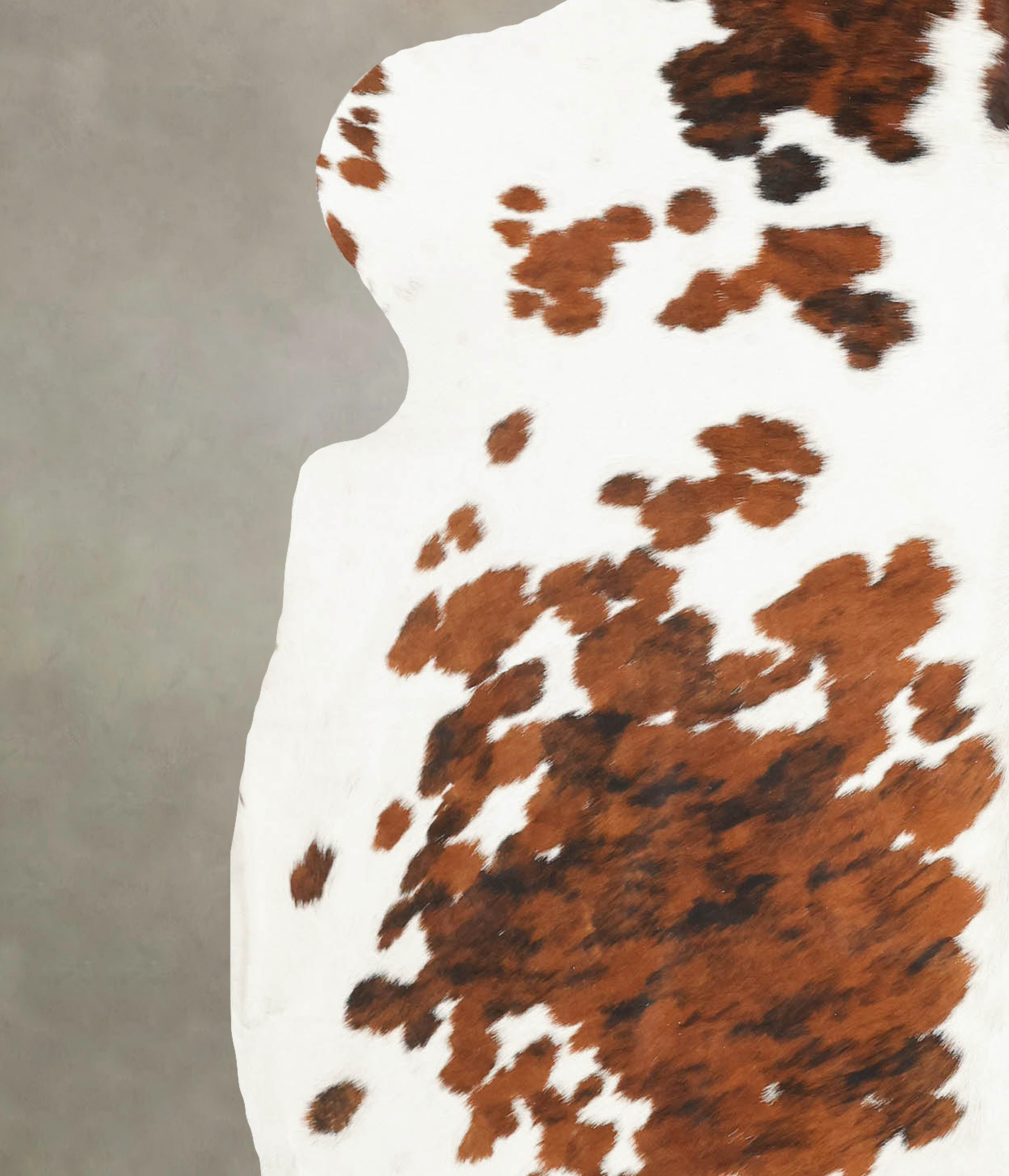 Tricolor Cowhide Rug #B5701