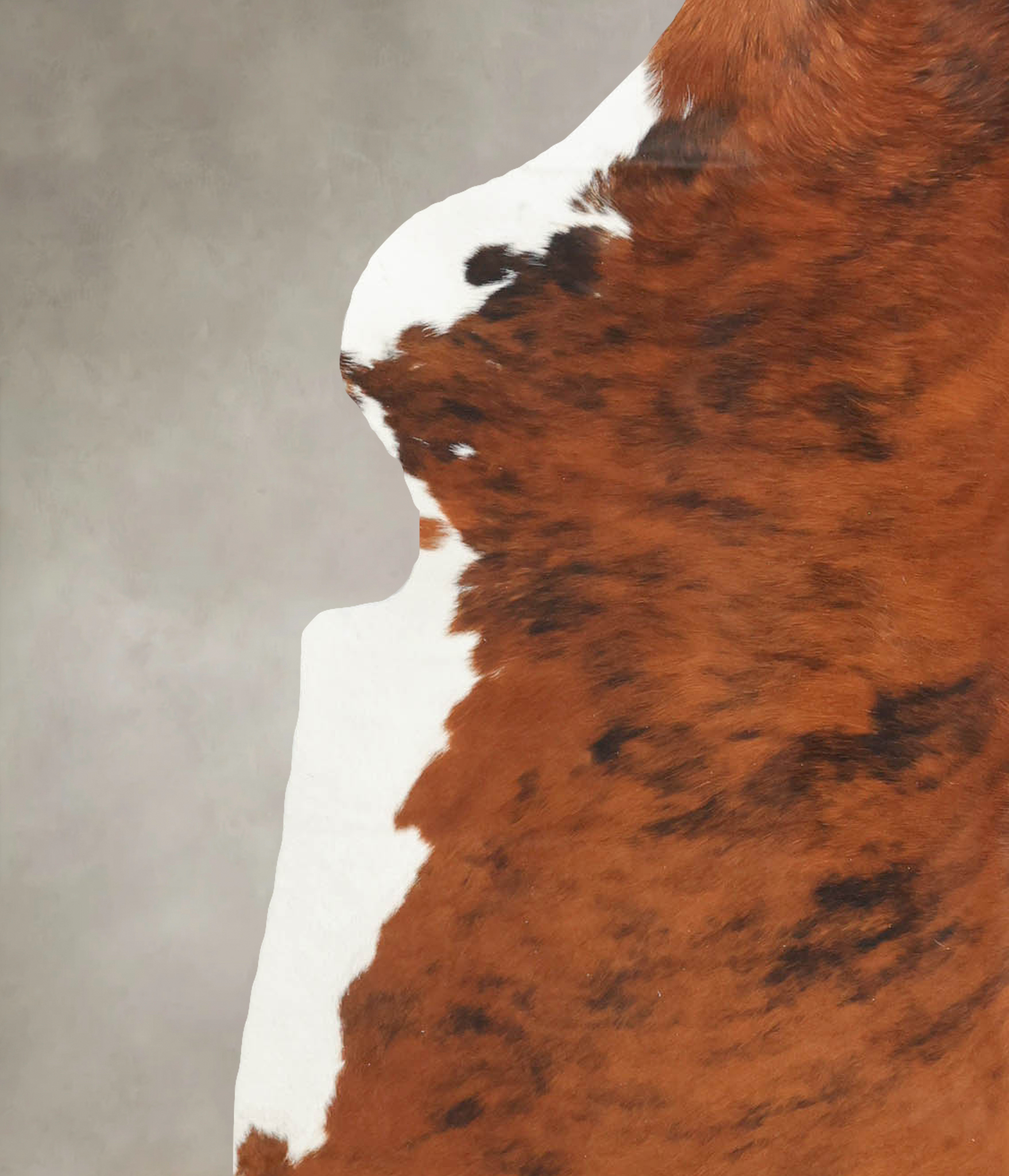 Tricolor Cowhide Rug #B5708