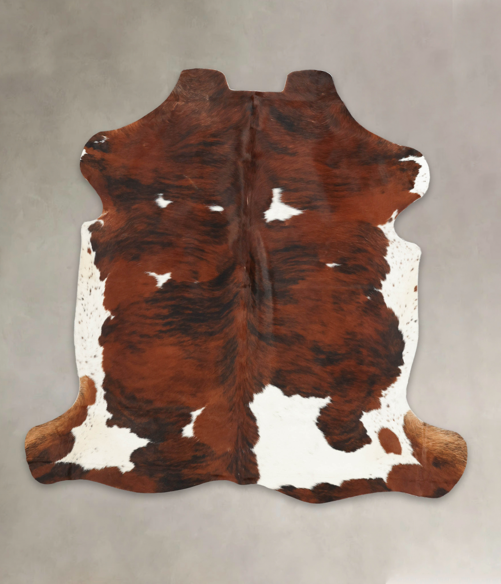 Tricolor Cowhide Rug #B5709