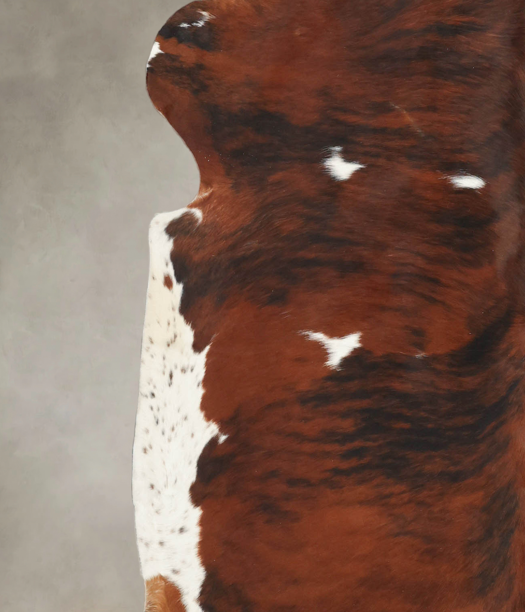 Tricolor Cowhide Rug #B5709