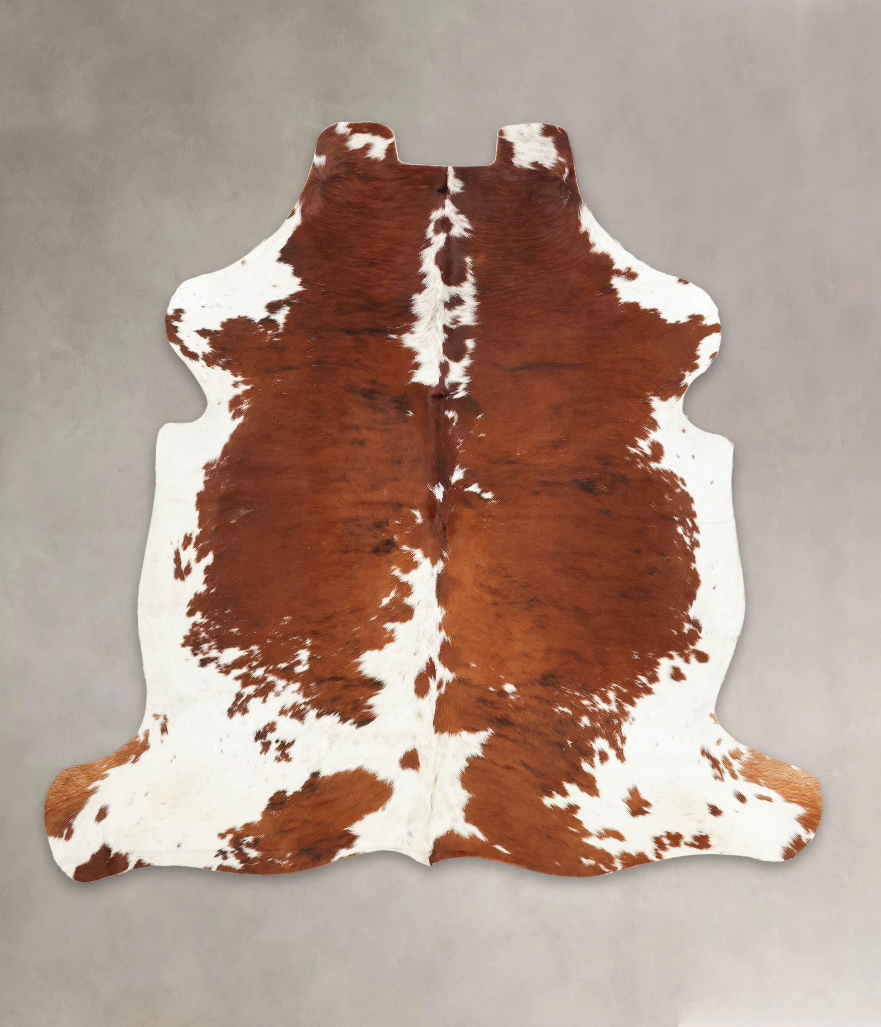 Tricolor Cowhide Rug #B5710