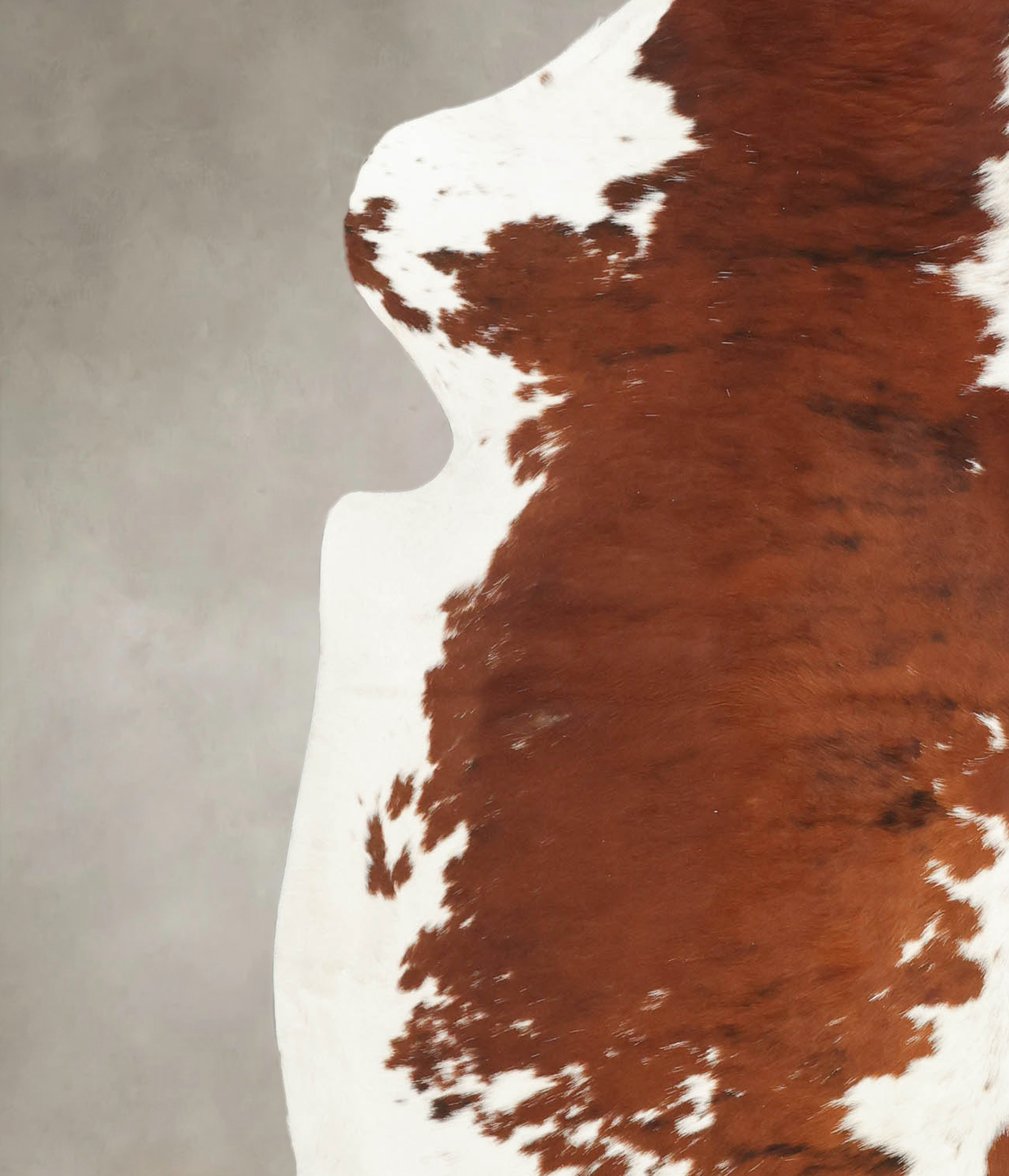 Tricolor Cowhide Rug #B5710