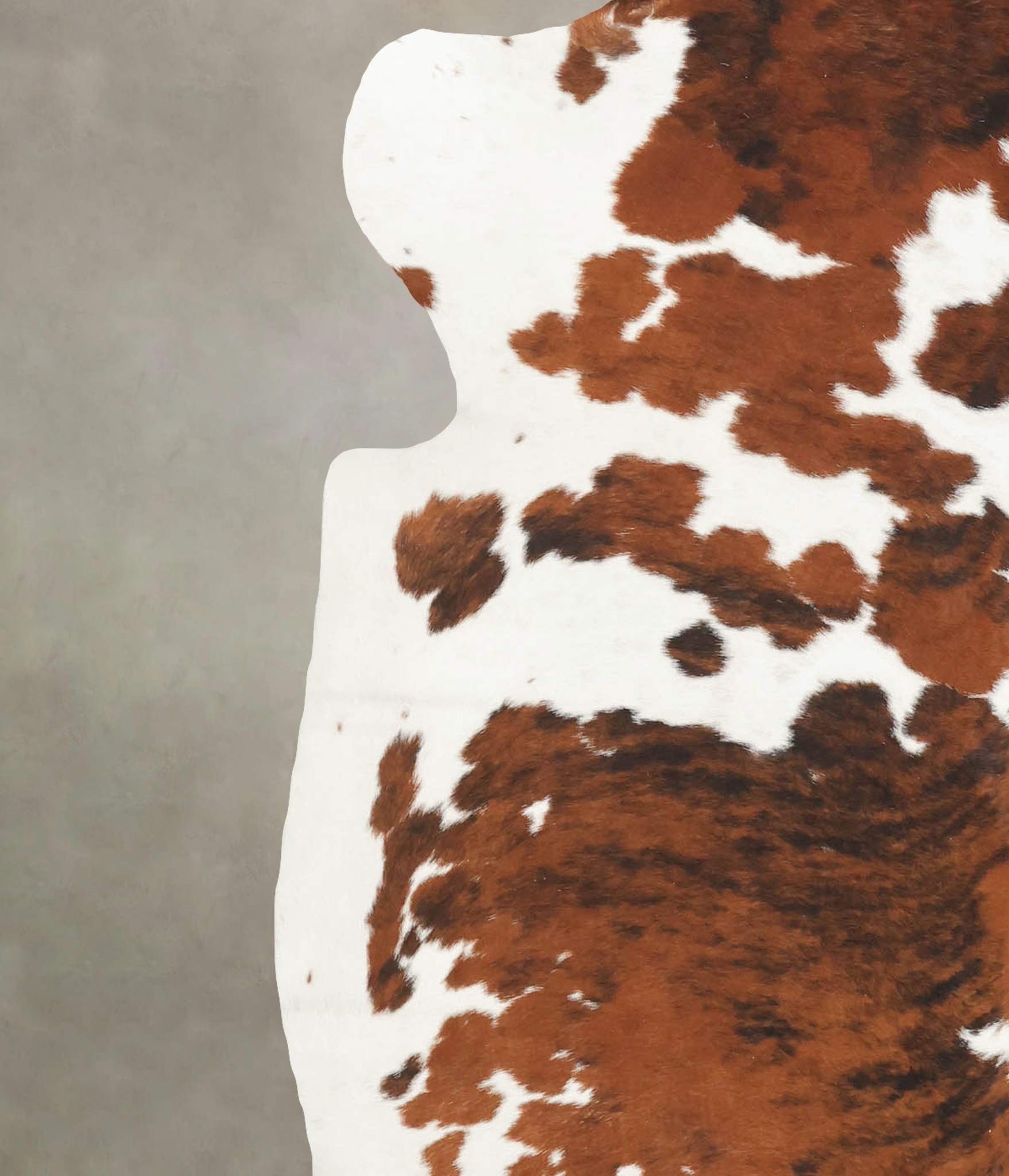 Tricolor Cowhide Rug #B5718