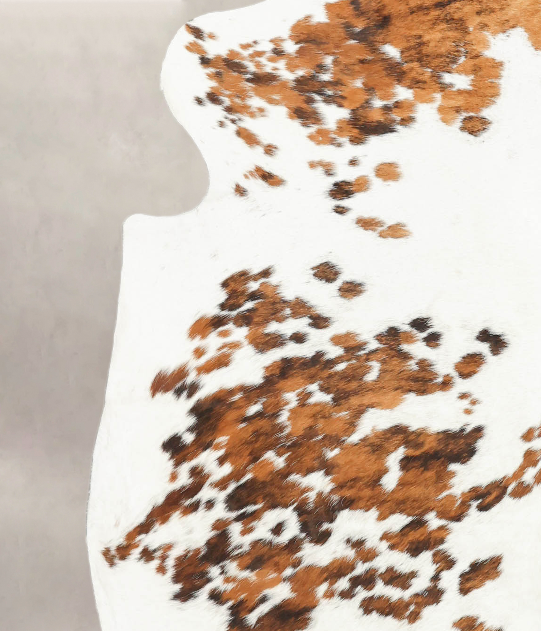 Tricolor Cowhide Rug #B5722